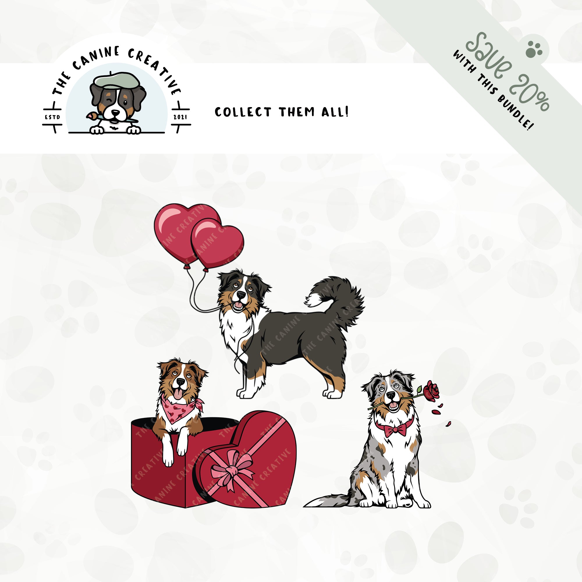 A docked tail version is also available for this rose-bearing Australian Shepherd design.
