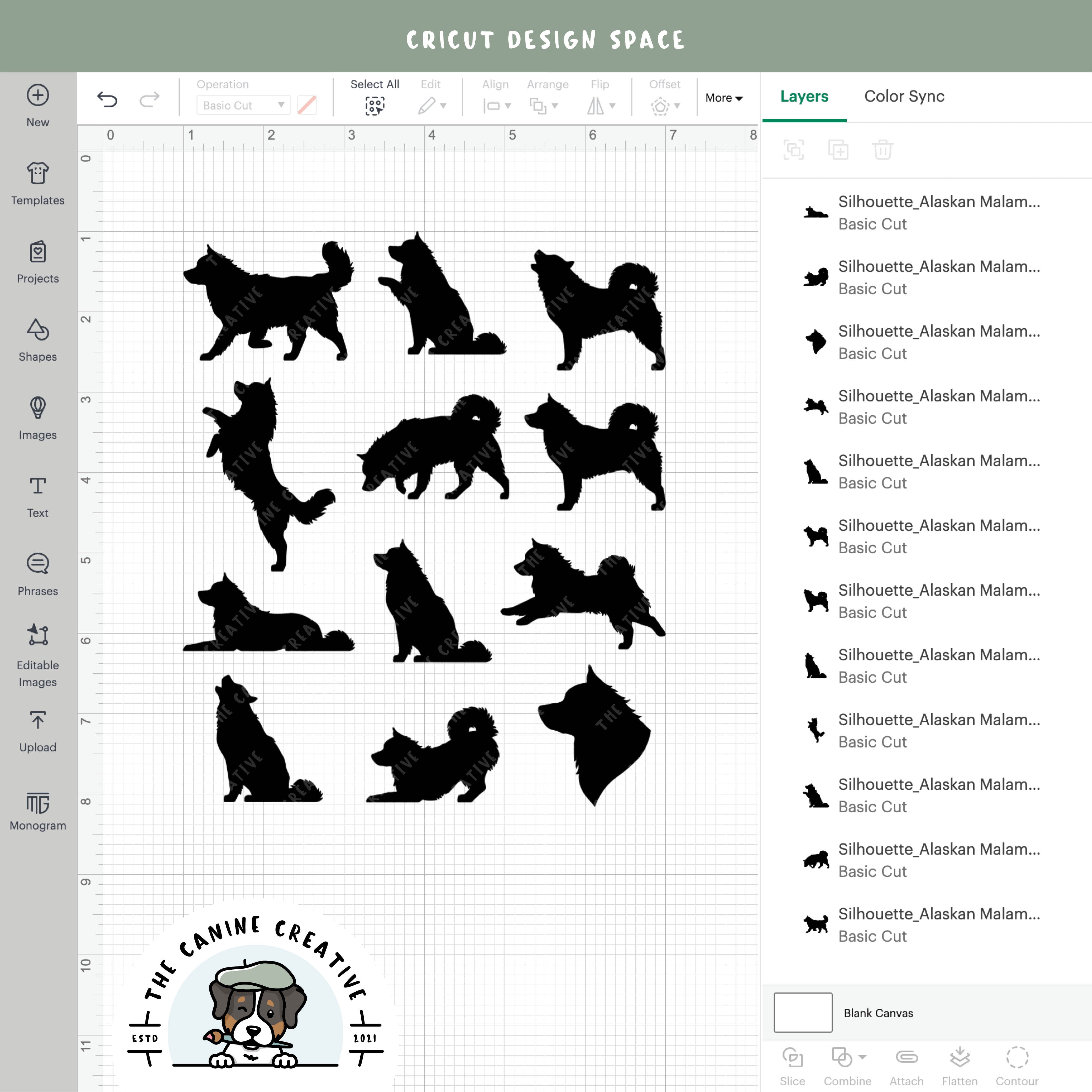 Screenshot showing designs inside Cricut Design Space.