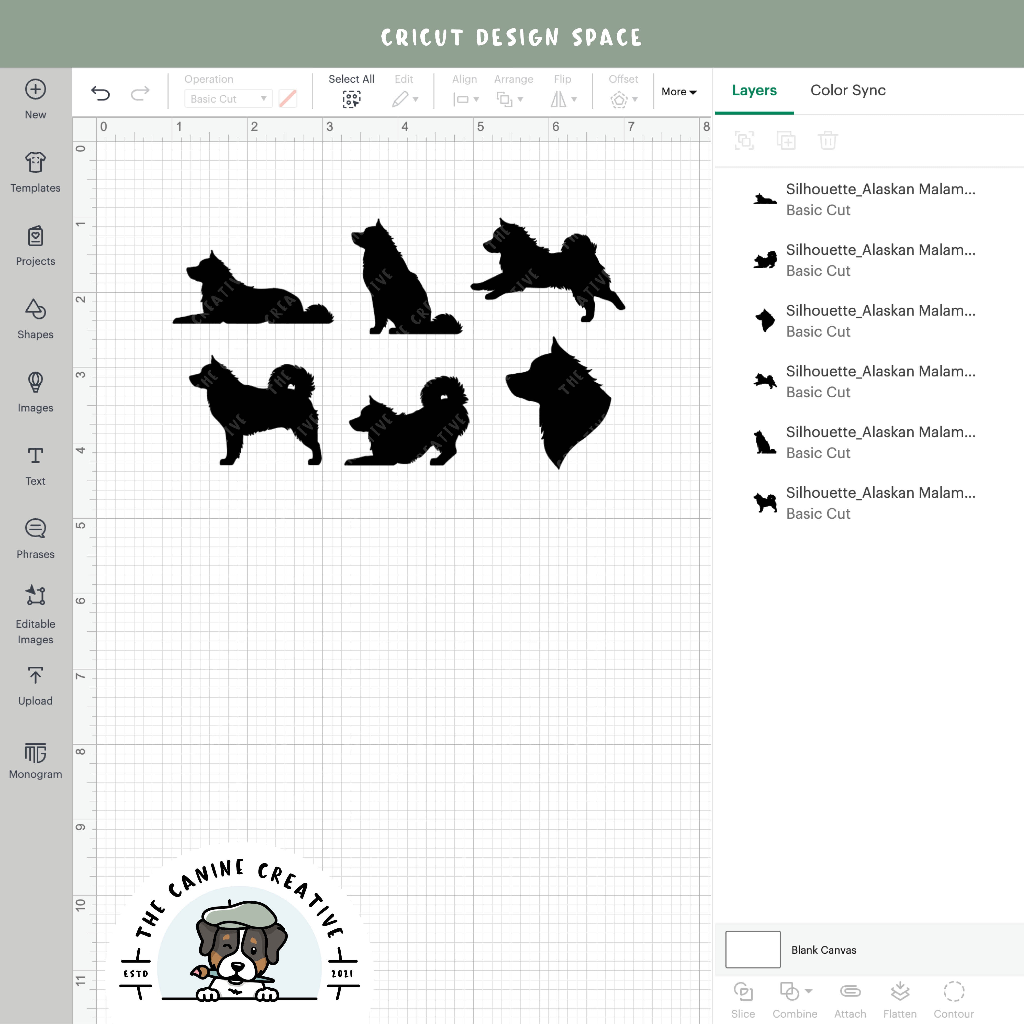 Screenshot showing designs inside Cricut Design Space.