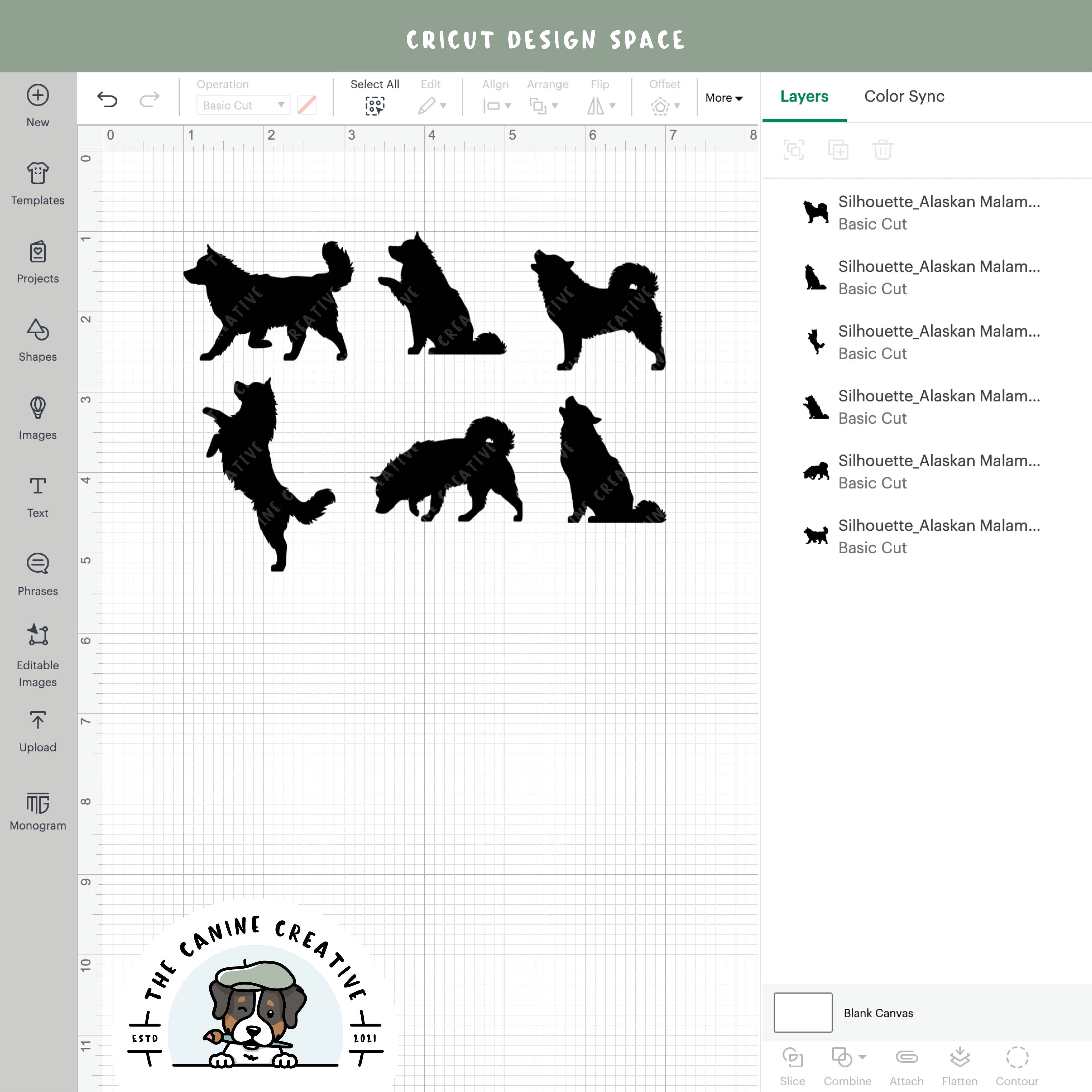 Screenshot showing designs inside Cricut Design Space.