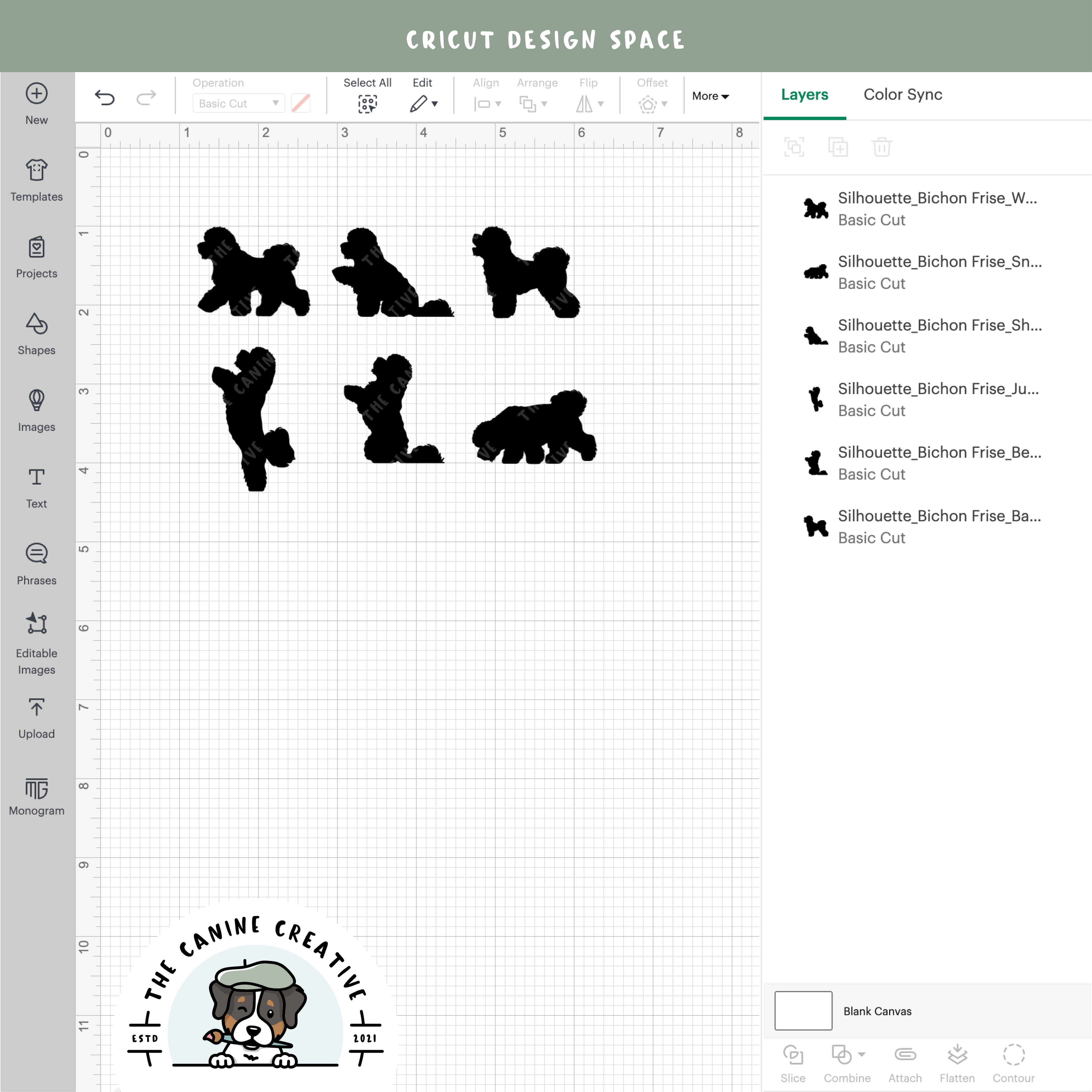Screenshot showing designs inside Cricut Design Space.