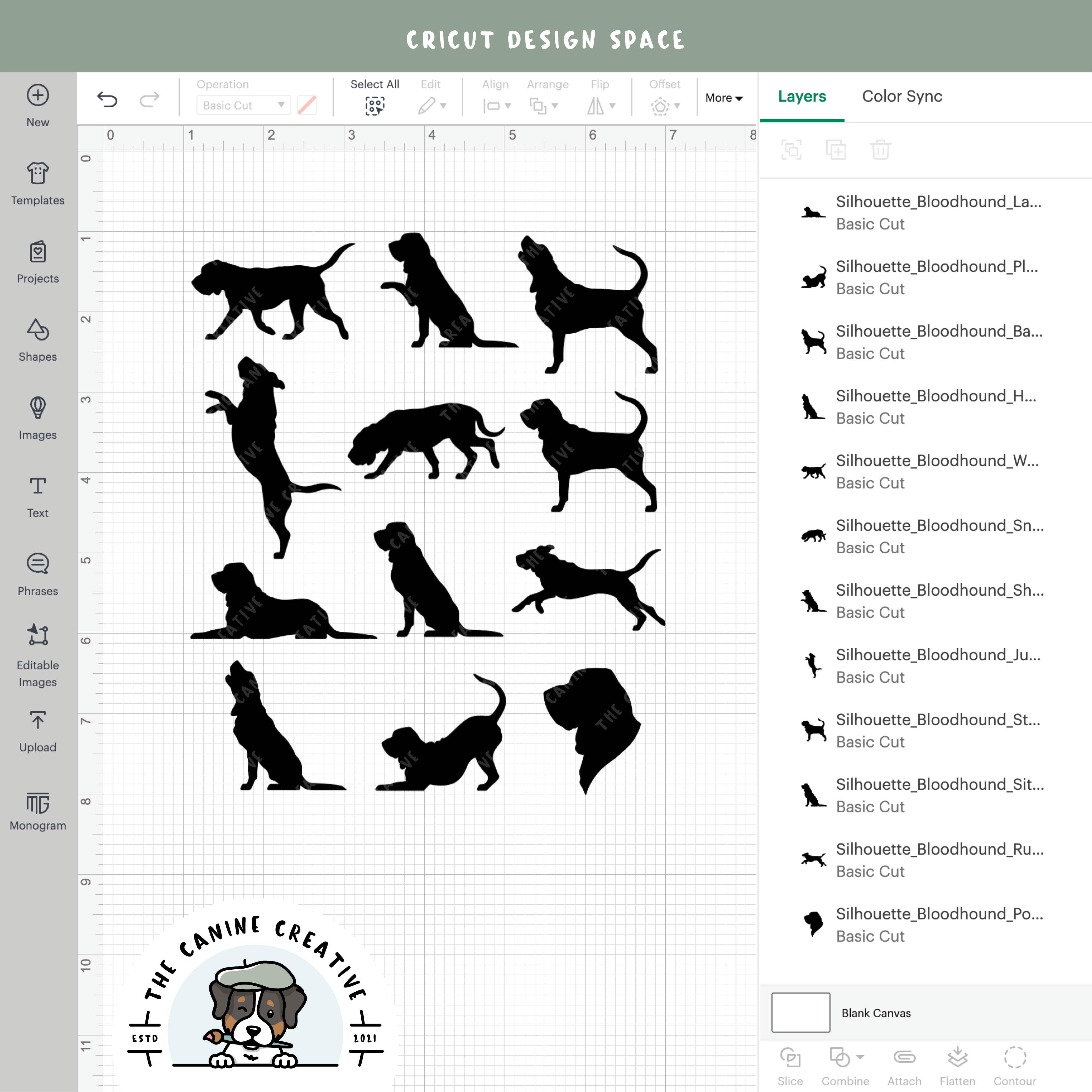 Screenshot showing designs inside Cricut Design Space.