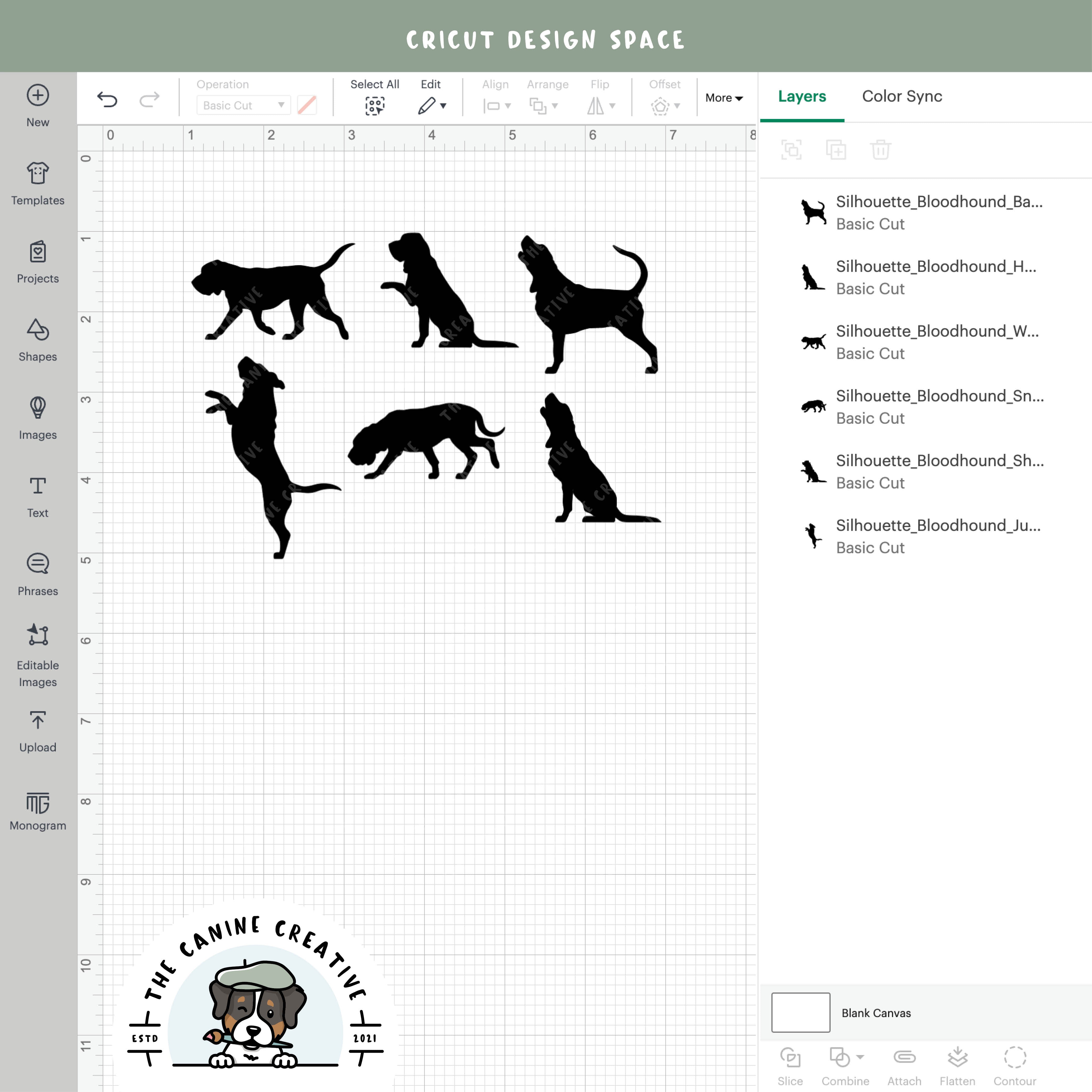 Screenshot showing designs inside Cricut Design Space.