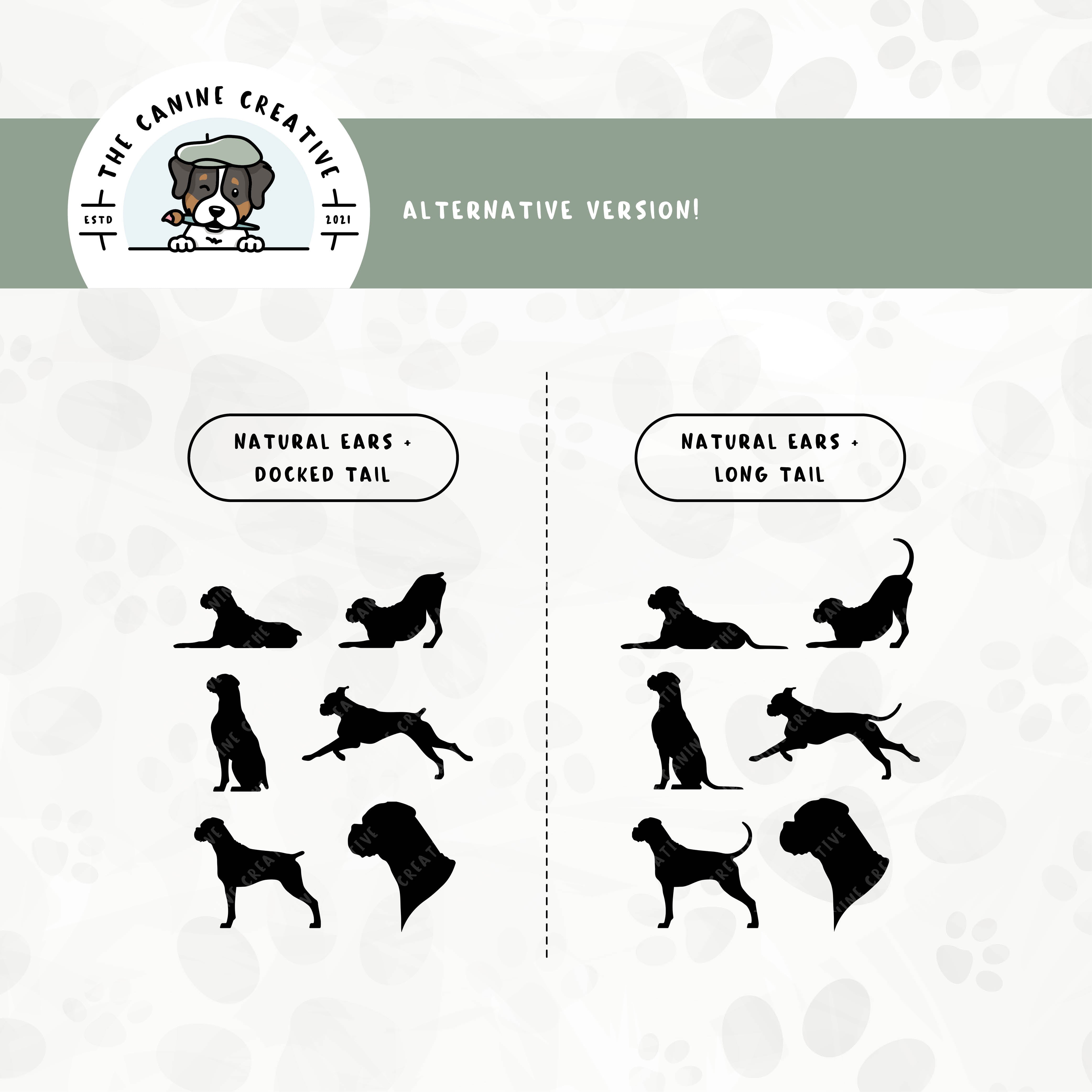 Alternative floppy ear/long tail or floppy ear/docked tail editions are also available for this Boxer dog design set.