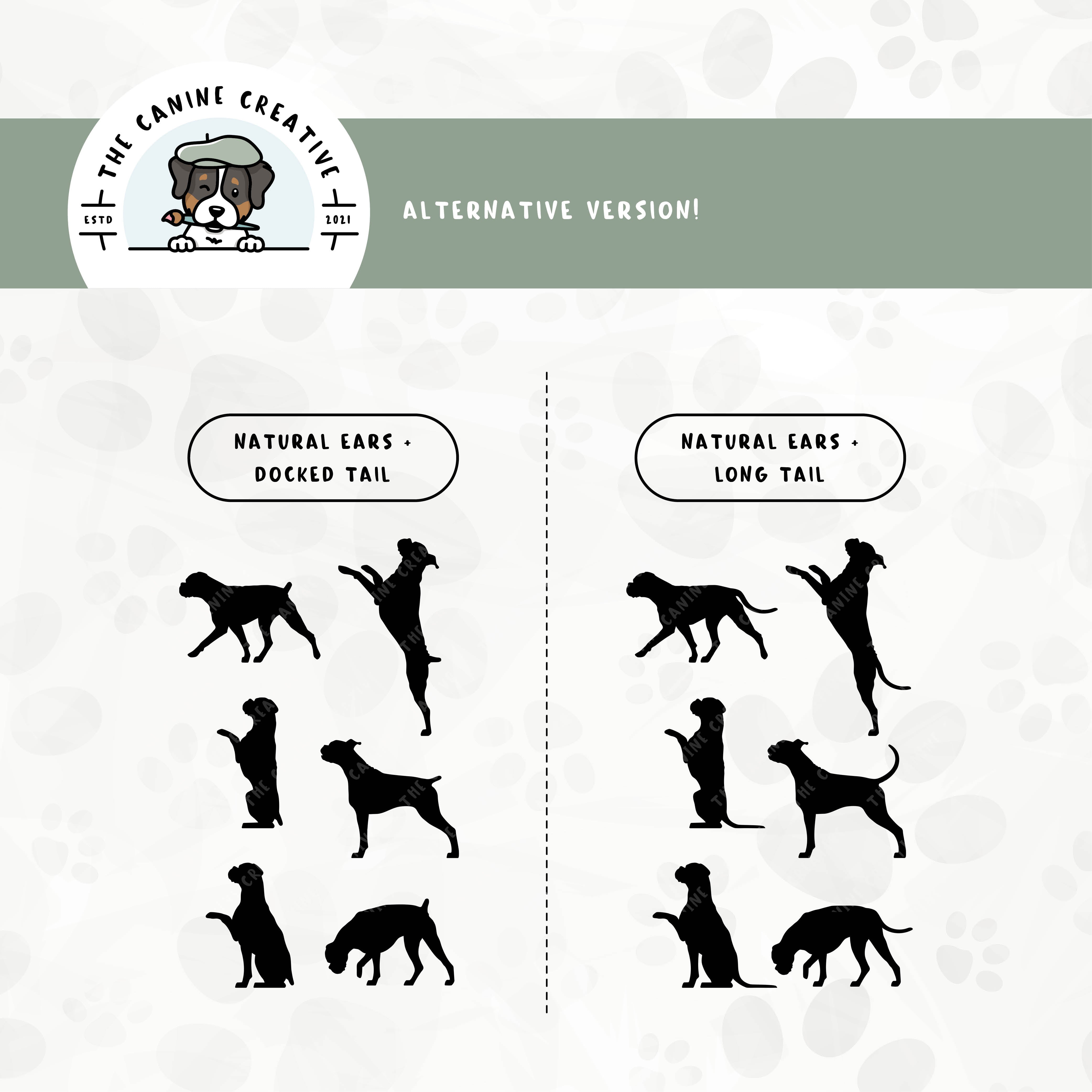 Alternative floppy ear/long tail or floppy ear/docked tail editions are also available for this Boxer dog design set.