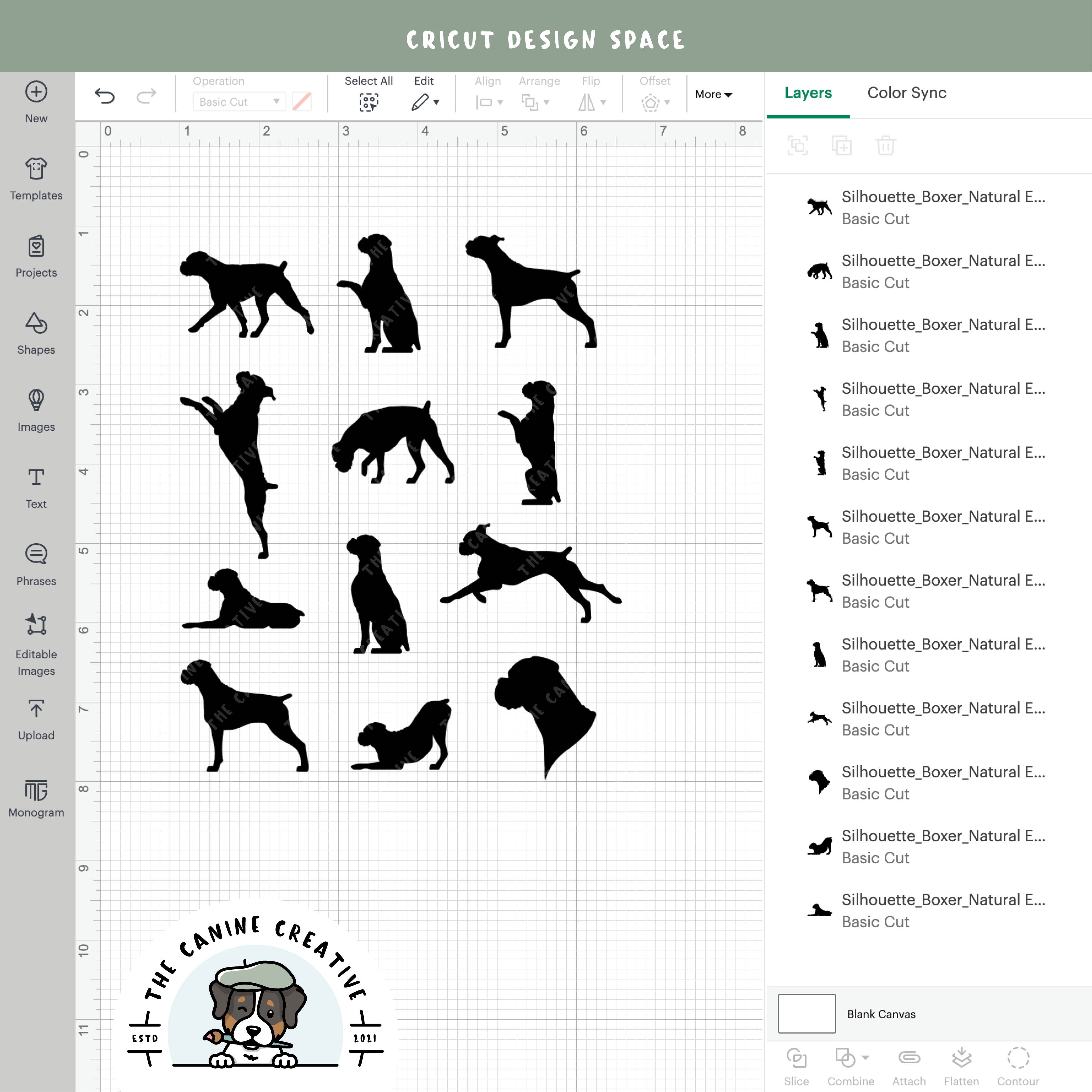 Screenshot showing designs inside Cricut Design Space.