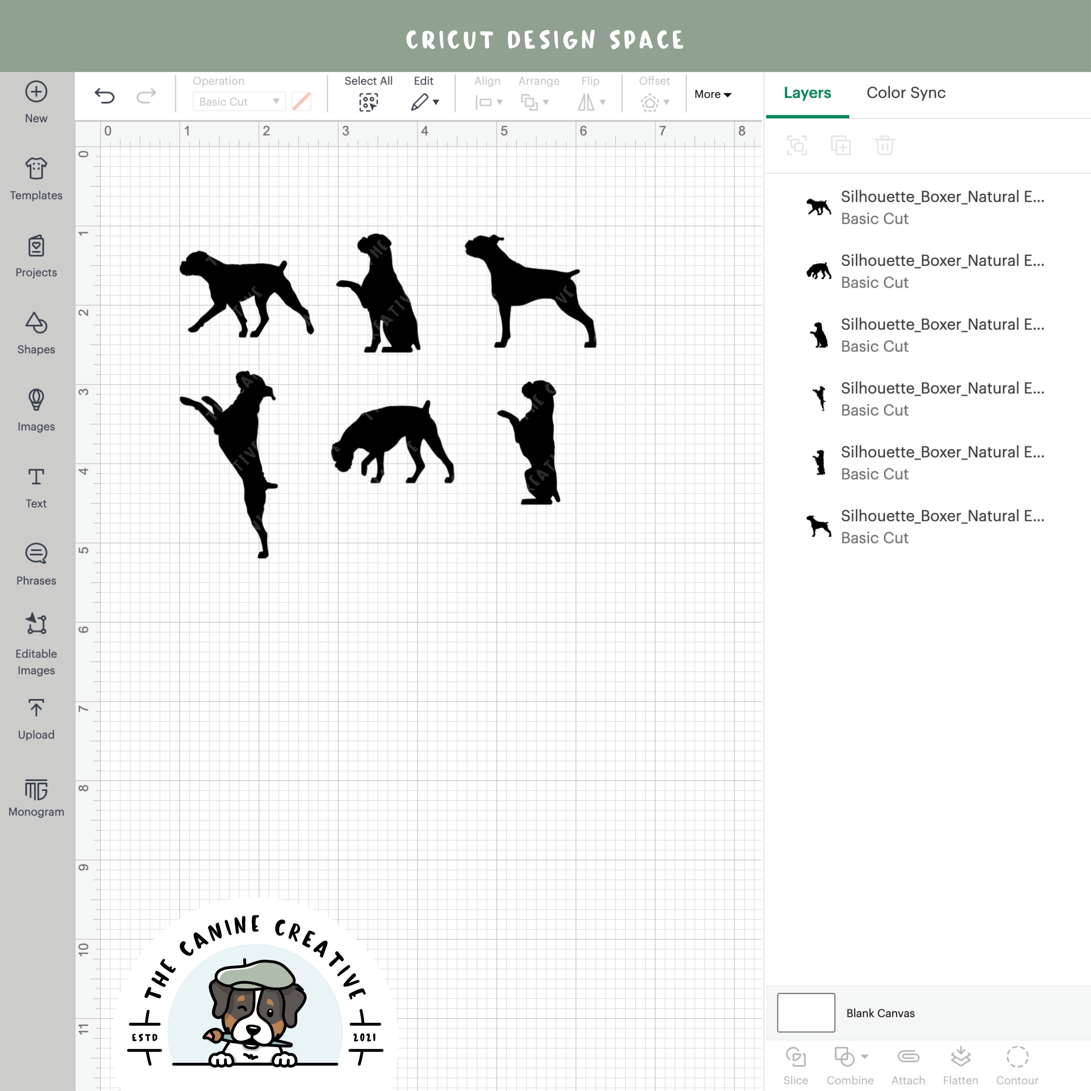 Screenshot showing designs inside Cricut Design Space.