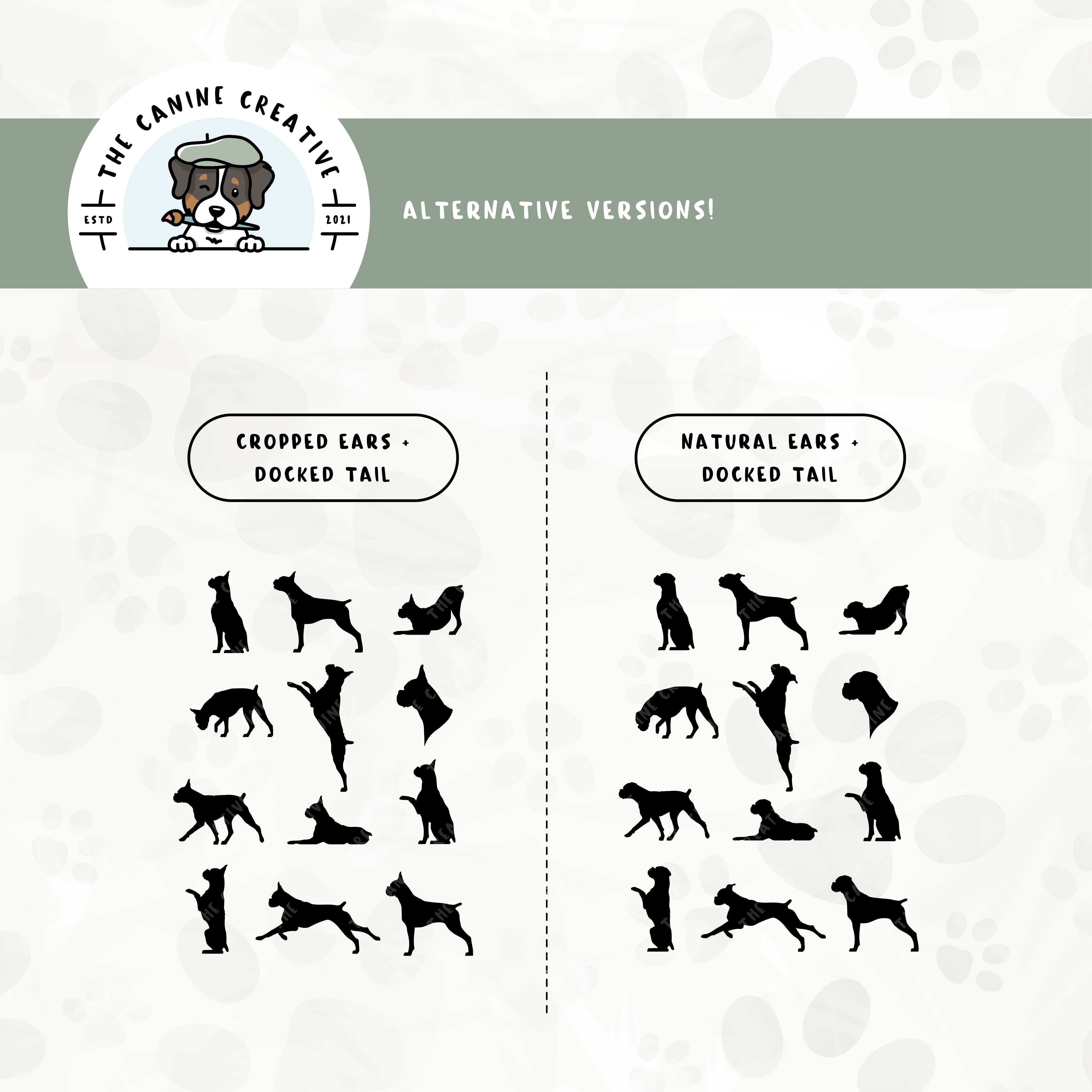 Alternative floppy ear/docked tail or cropped ear/docked tail editions are also available for this Boxer dog design bundle.