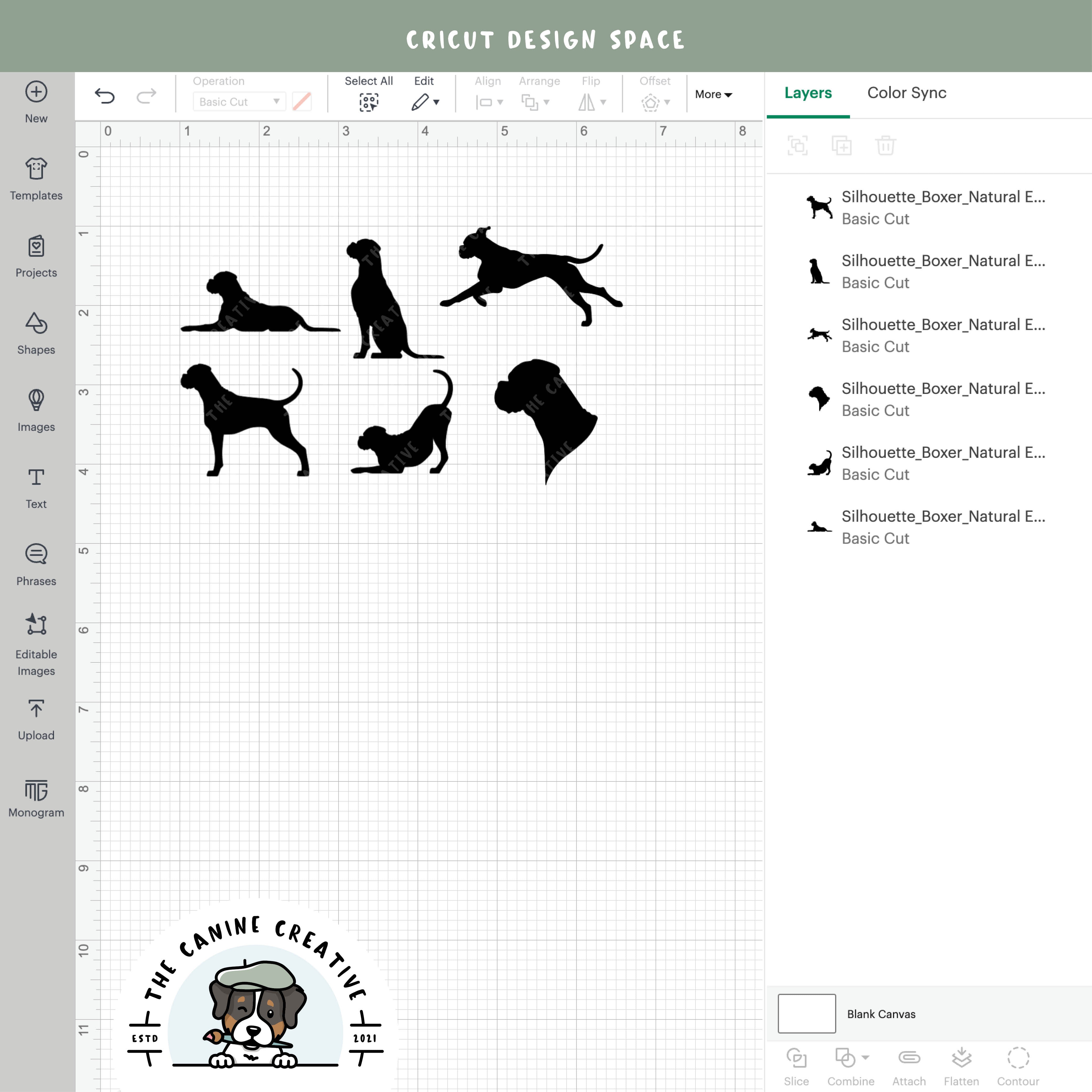 Screenshot showing designs inside Cricut Design Space.