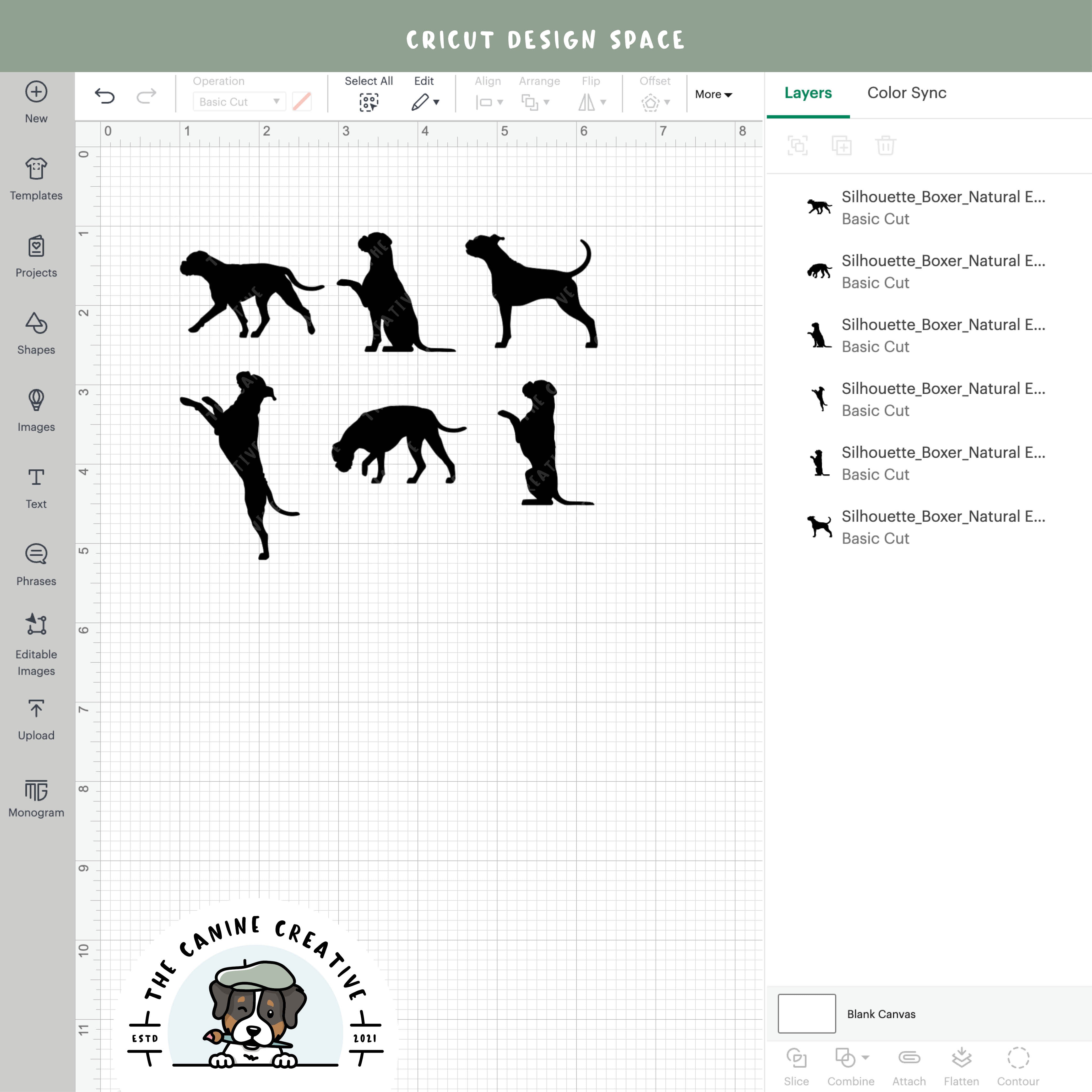 Screenshot showing designs inside Cricut Design Space.