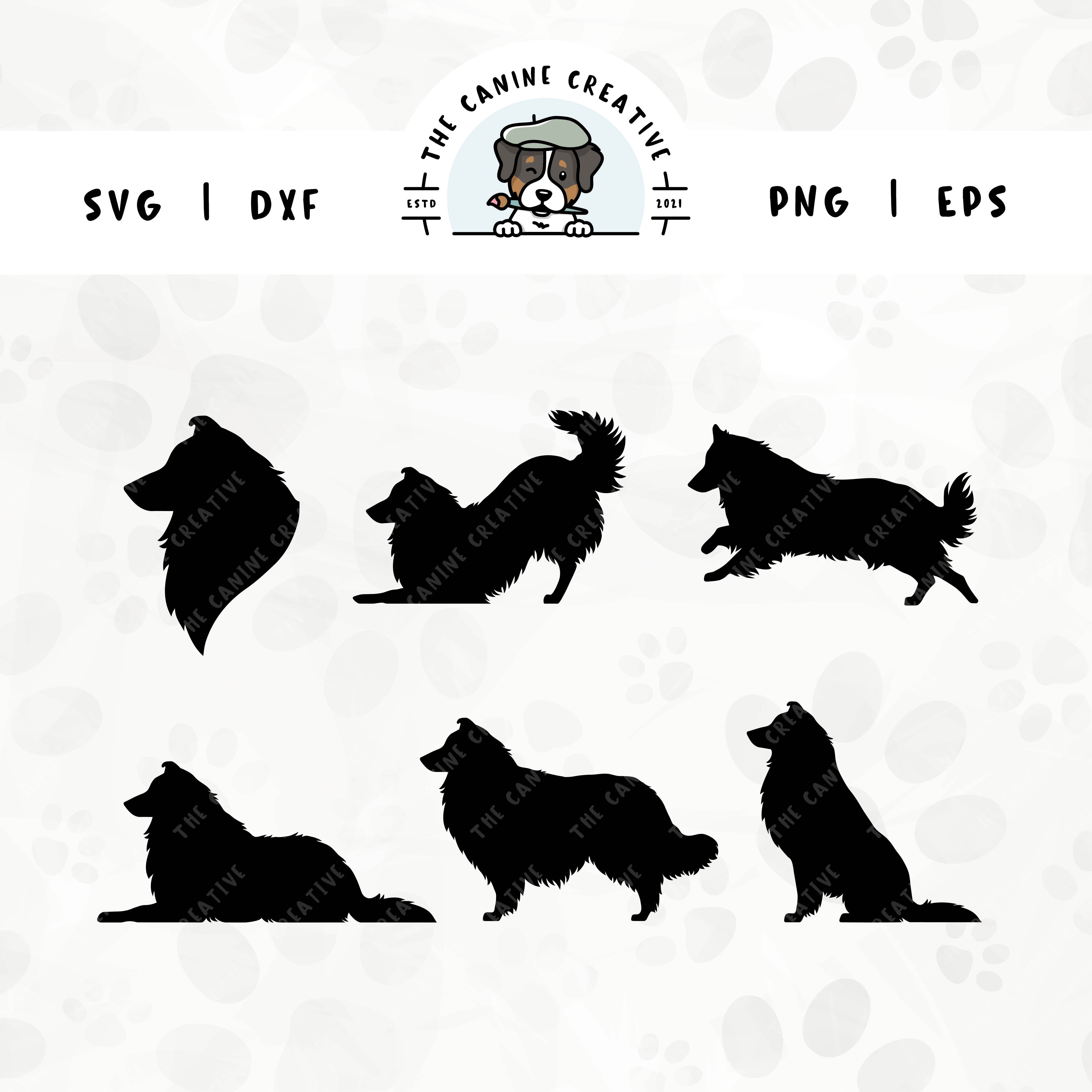 This 6-pack Rough Collie/Shetland Sheepdog silhouette bundle (set 1) features a dog's head in profile, along with various poses including running, laying down, playing, standing, and sitting.  File formats include: SVG, DXF, PNG, and EPS.