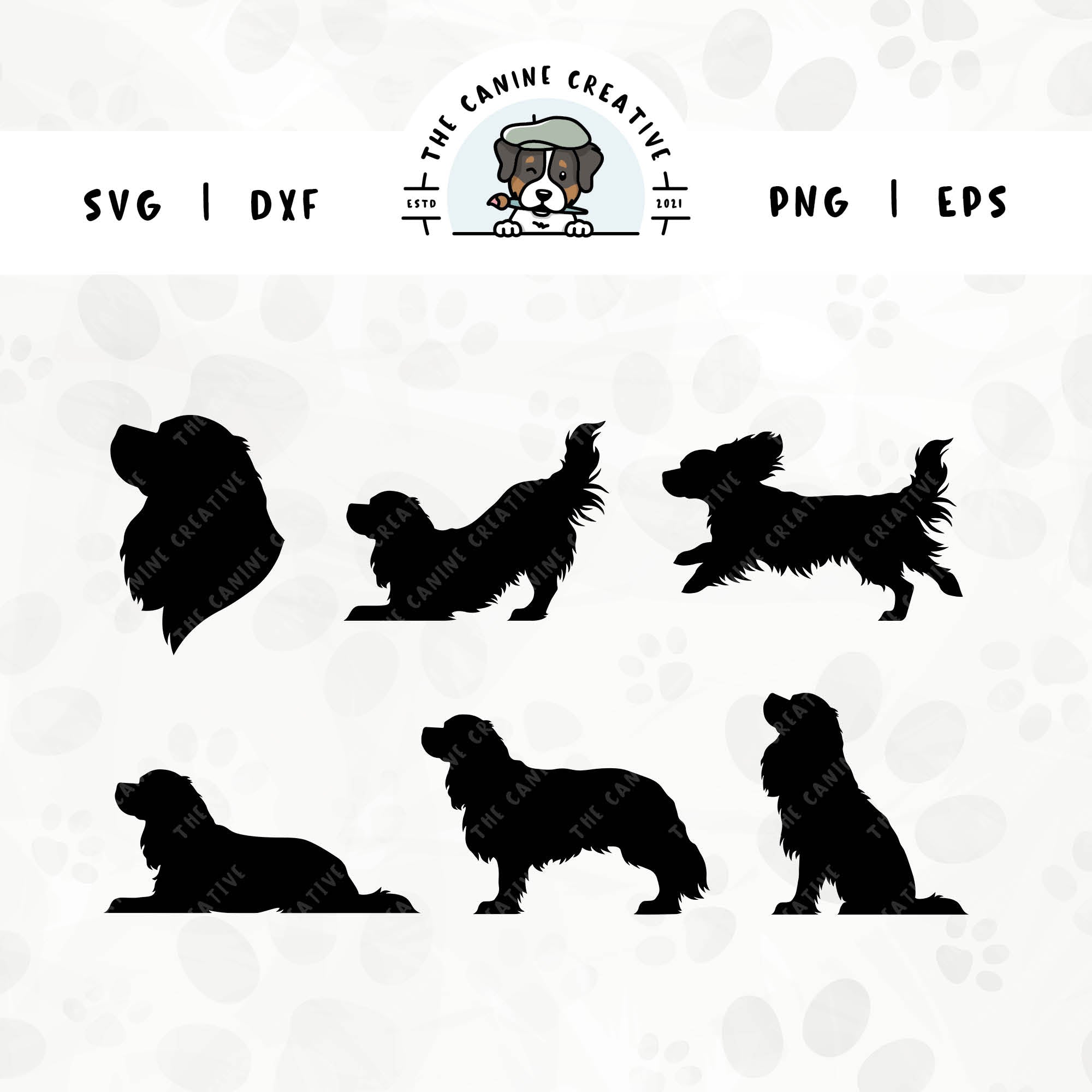 This 6-pack, Cavalier King Charles Spaniel silhouette bundle (set 1) features a dog's head in profile, along with various poses including running, laying down, playing, standing, and sitting. File formats include: SVG, DXF, PNG, and EPS.