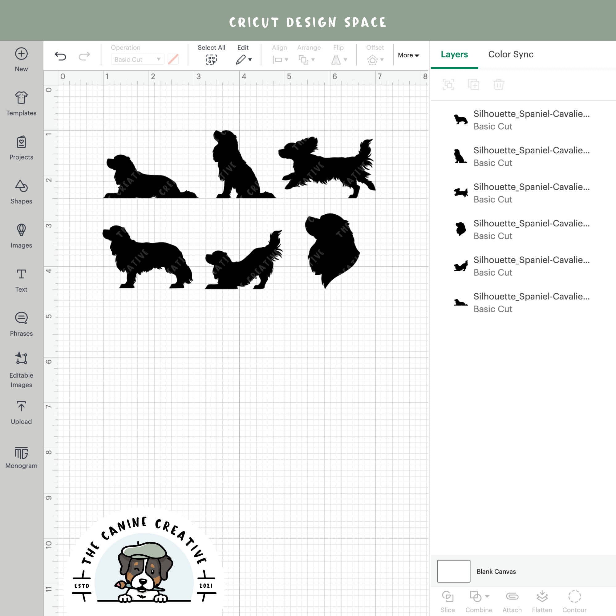 Screenshot showing designs inside Cricut Design Space.