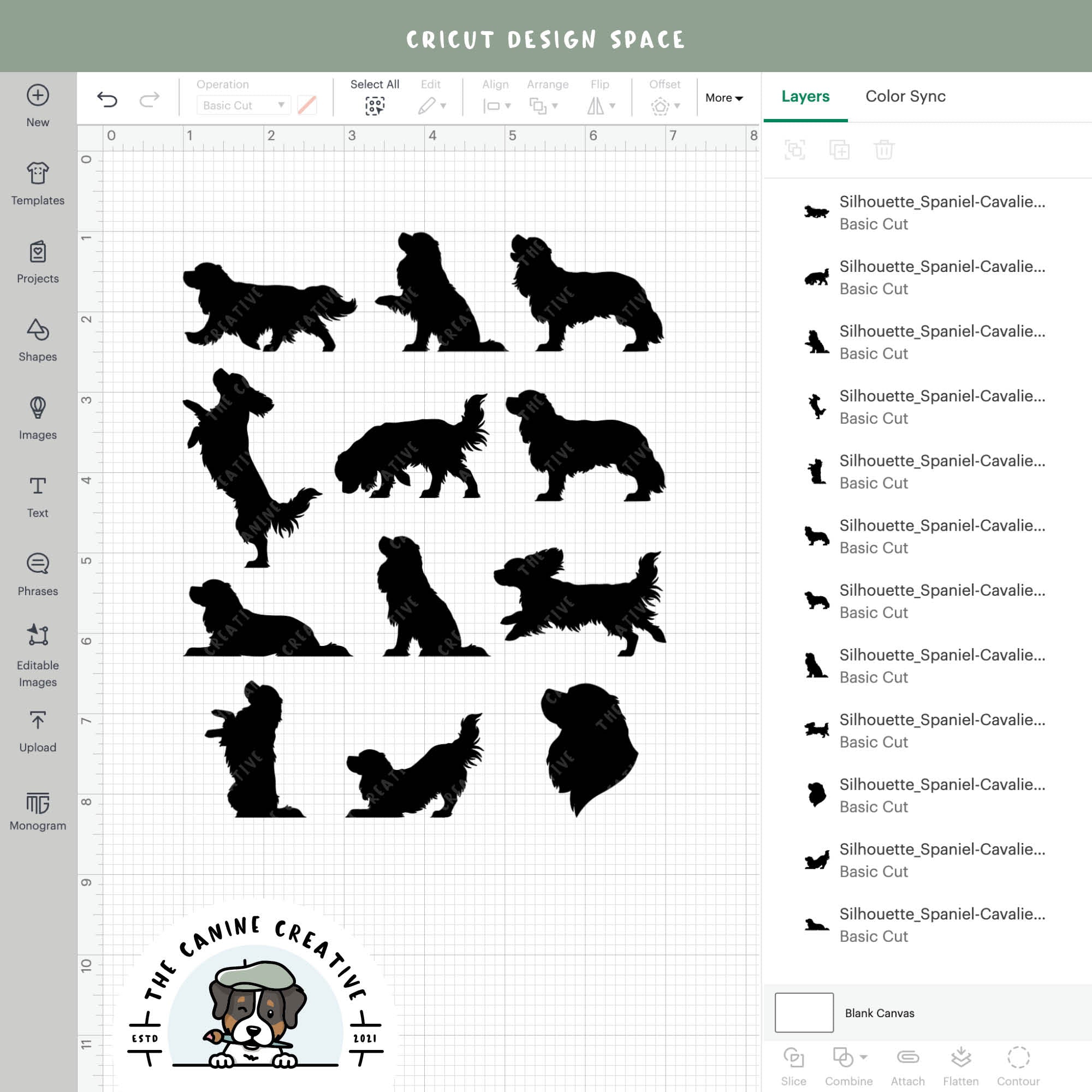 Screenshot showing designs inside Cricut Design Space.