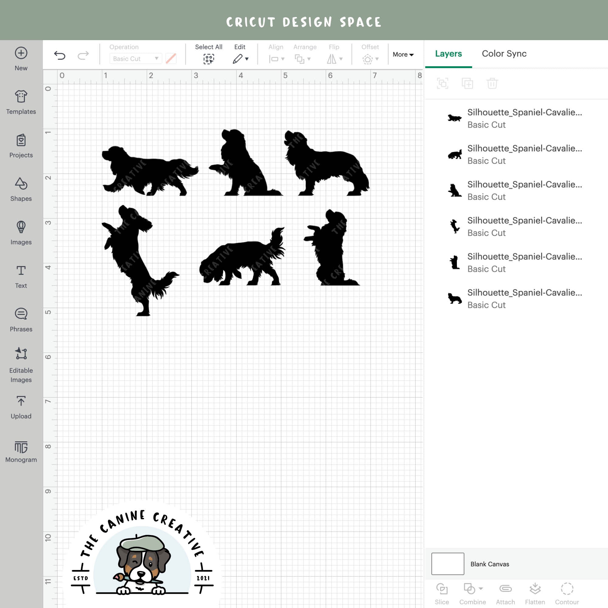 Screenshot showing designs inside Cricut Design Space.