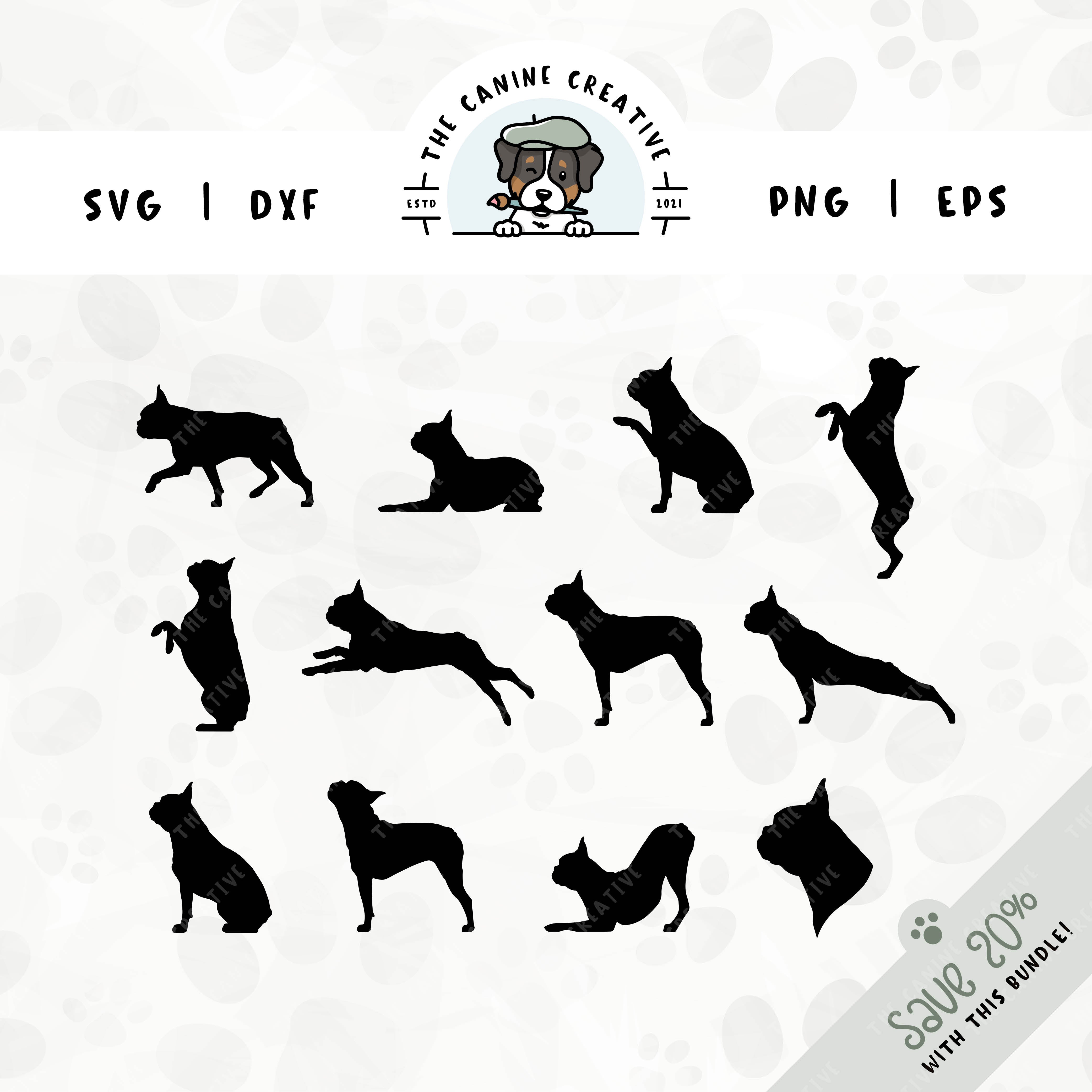 This 12-pack Boston Terrier silhouette bundle features a dog's head in profile, along with various poses including running, laying down, playing, standing, sitting, walking, jumping up, begging, barking, stretching, and shaking a paw. File formats include: SVG, DXF, PNG, and EPS.