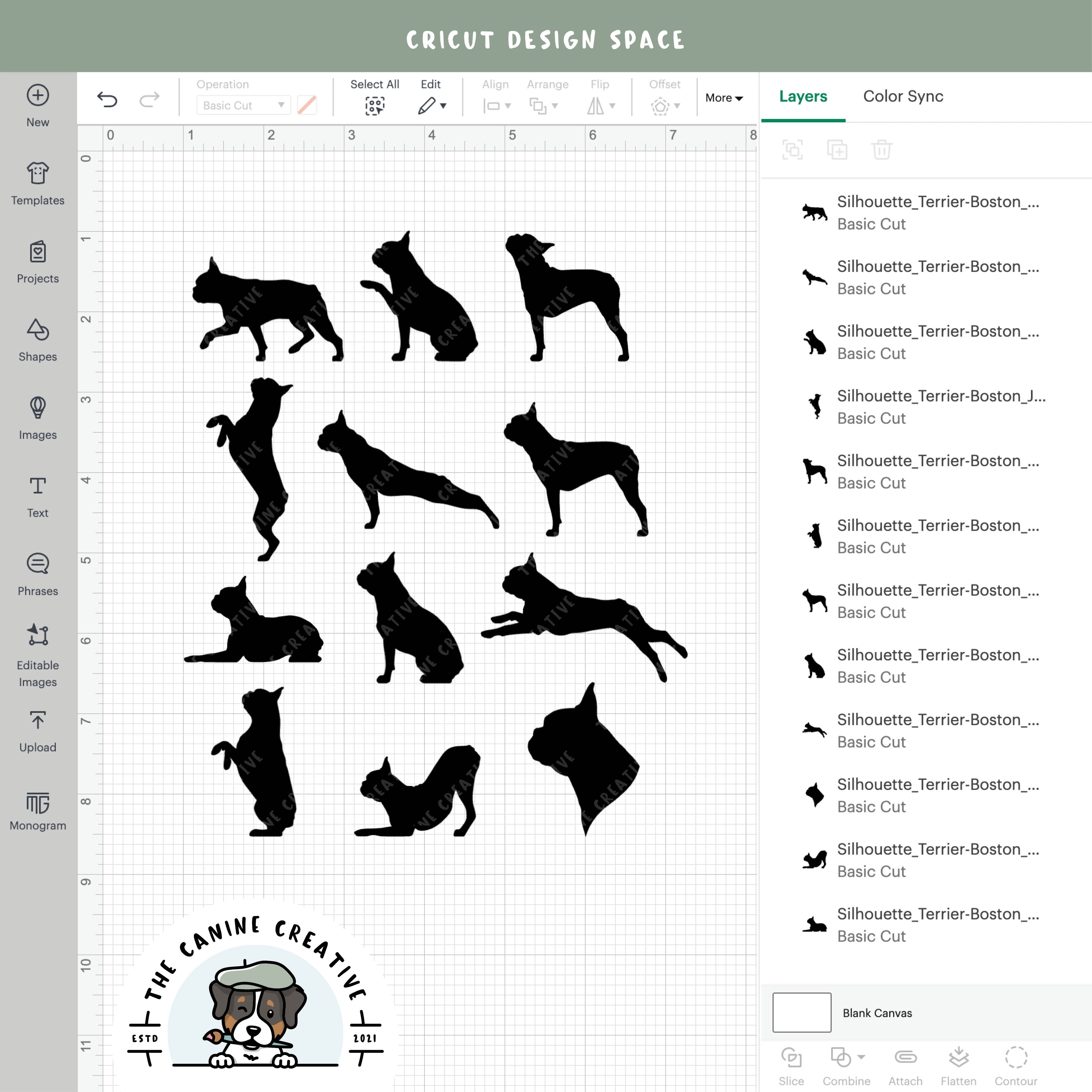 Screenshot showing designs inside Cricut Design Space.