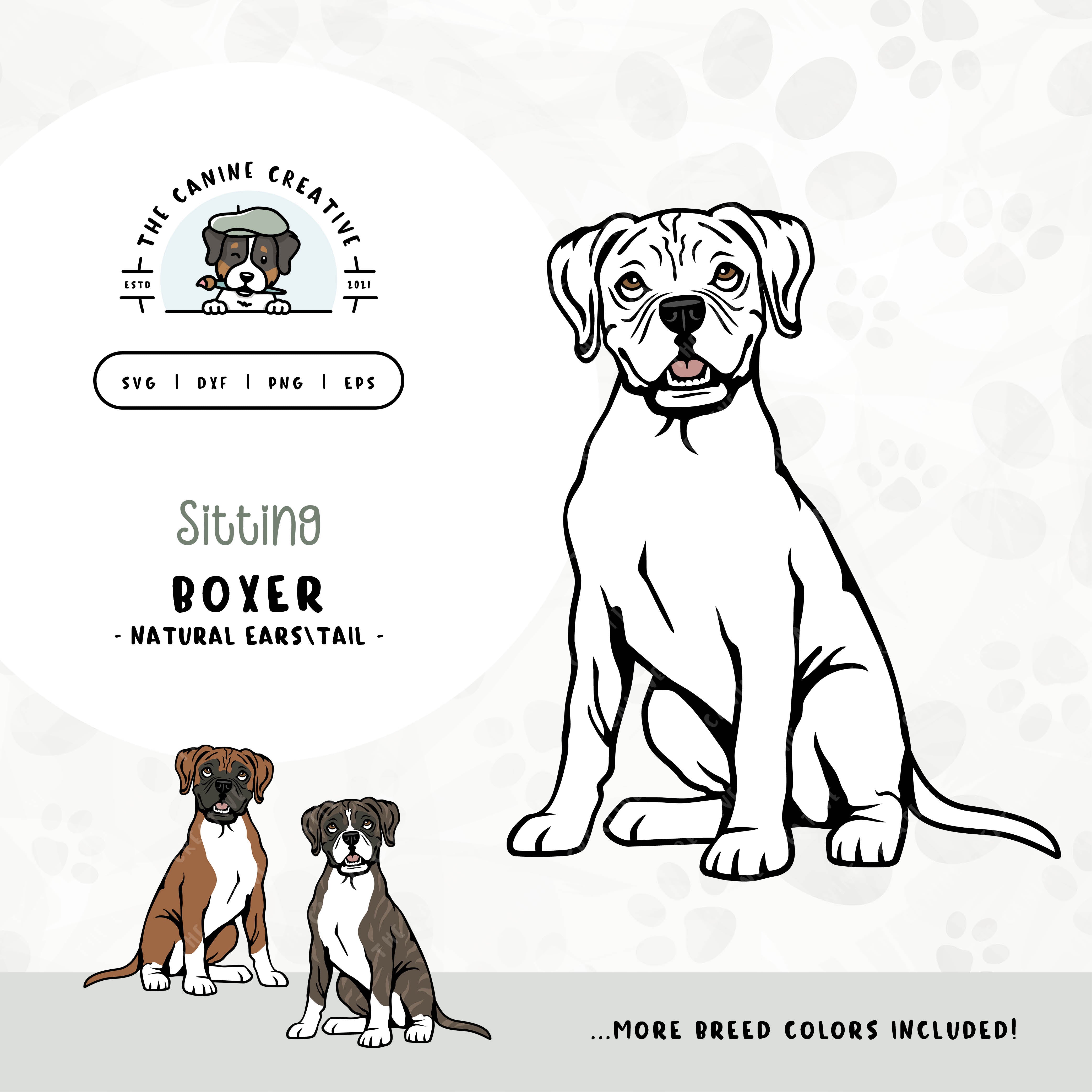 This sitting dog design features a Boxer dog with floppy ears and a long tail. File formats include: SVG, DXF, PNG, and EPS.