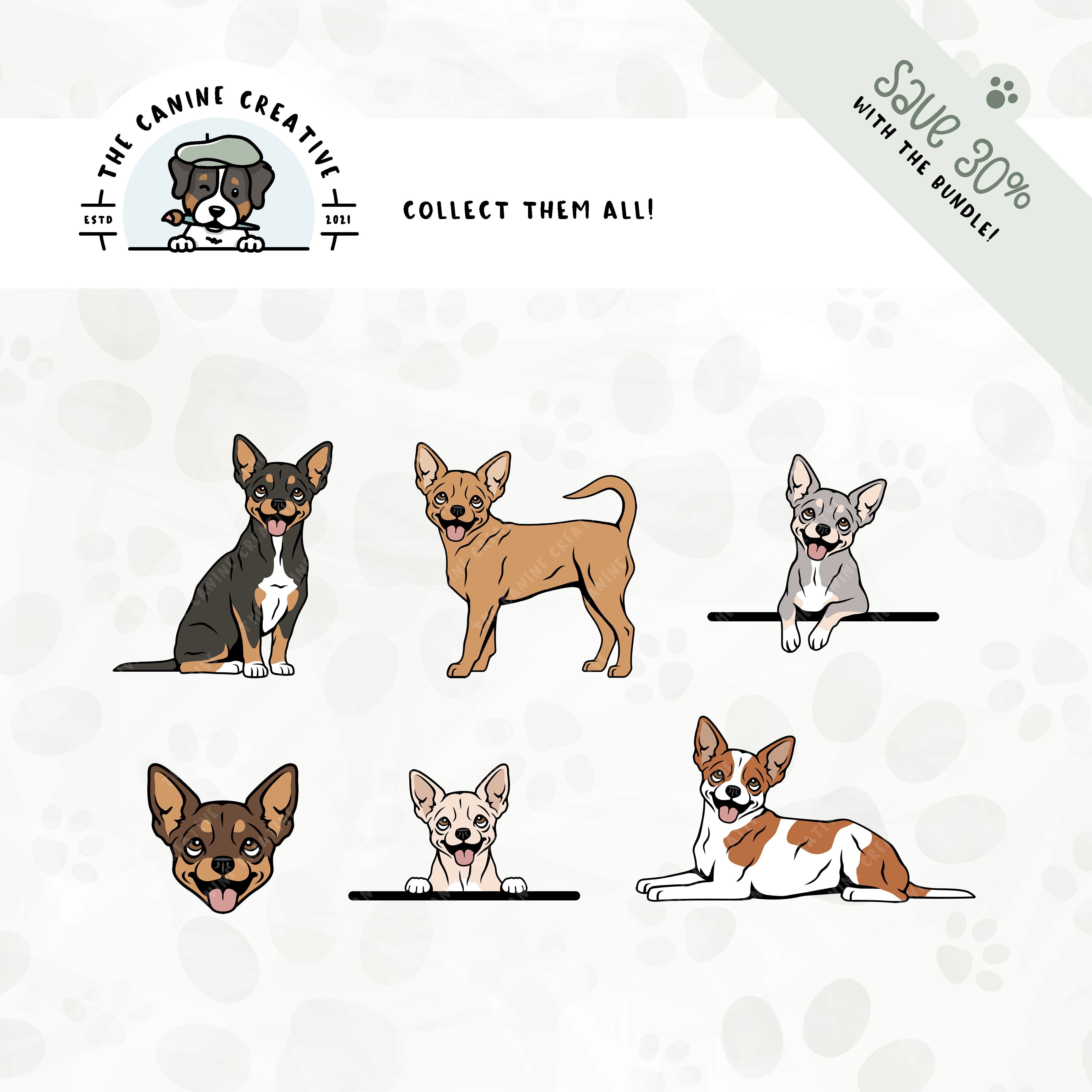 Save 30% with our related 6-pack Smooth Coat Chihuahua illustration bundle!