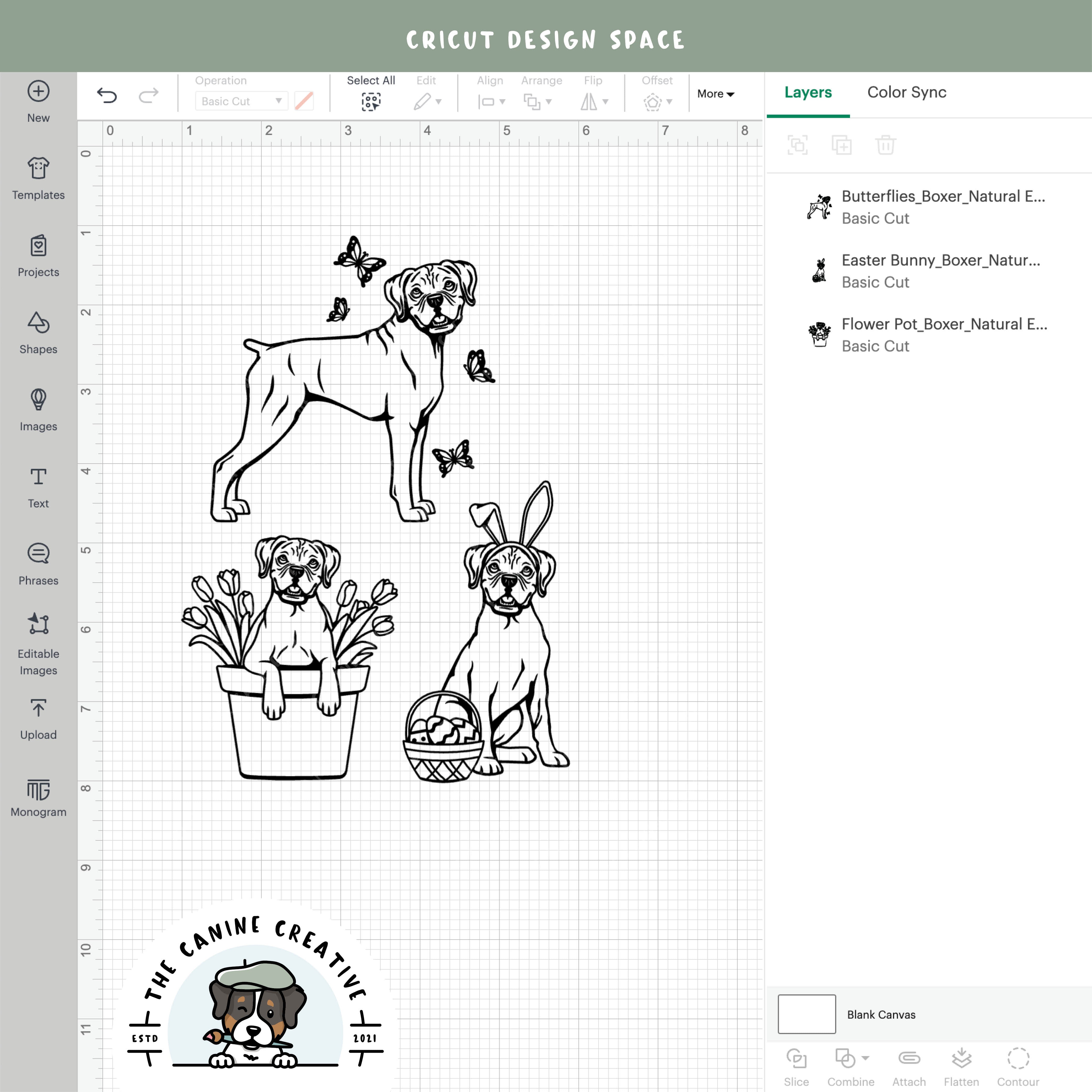 Screenshot showing outline versions inside Cricut Design Space.
