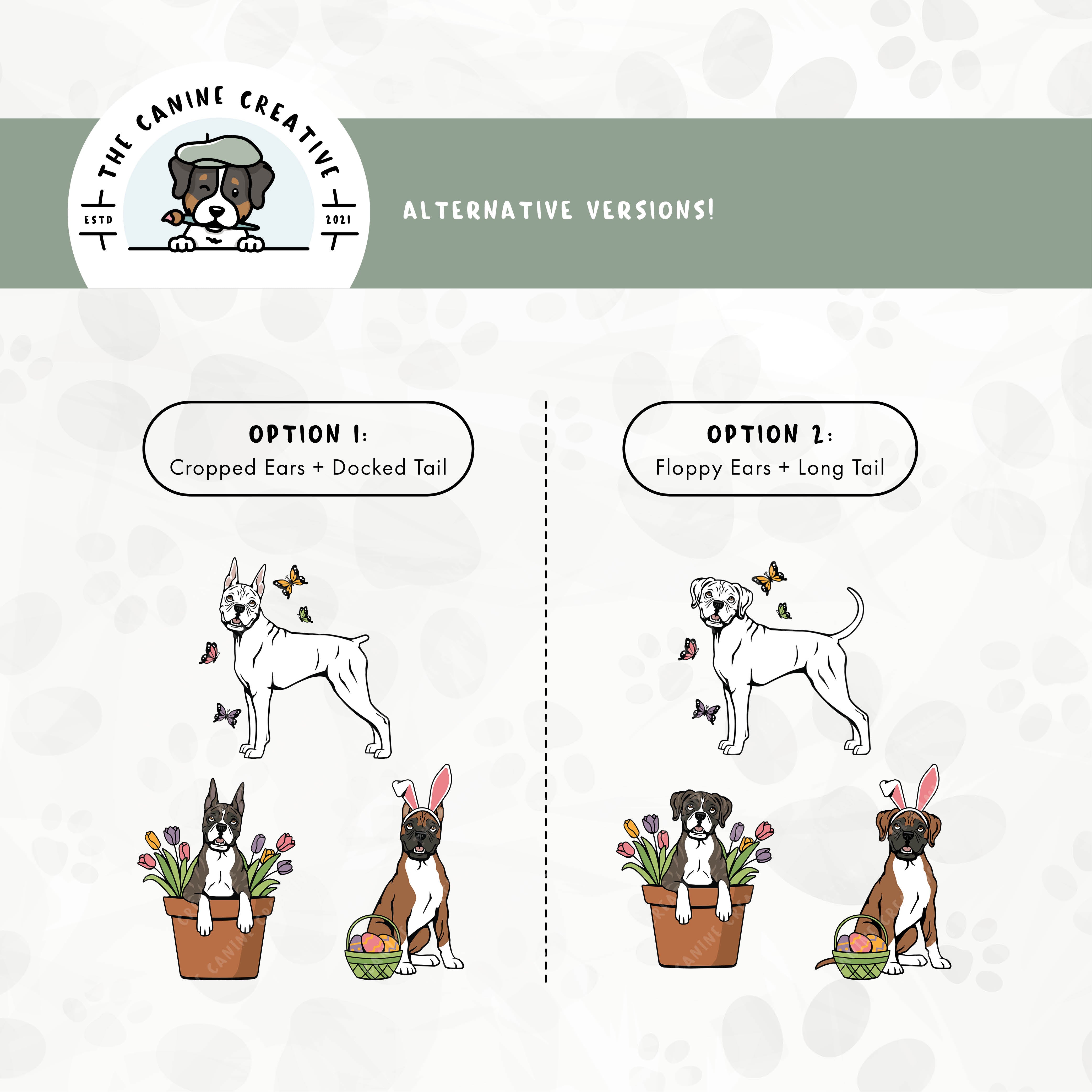 Alternative cropped ear/docked tail or floppy ear/long tail editions are also available for this 3-pack Boxer dog springtime illustration bundle.