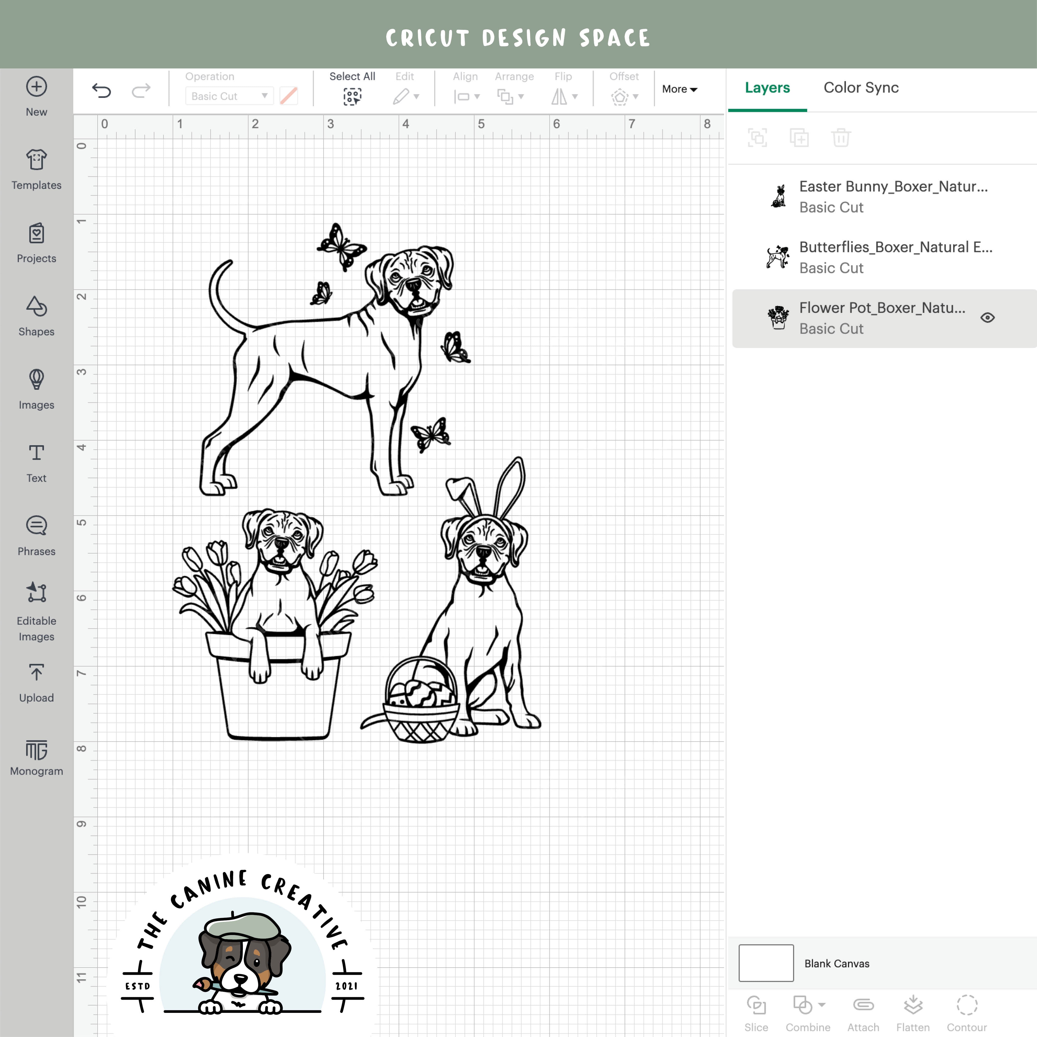 Screenshot showing outline versions inside Cricut Design Space.