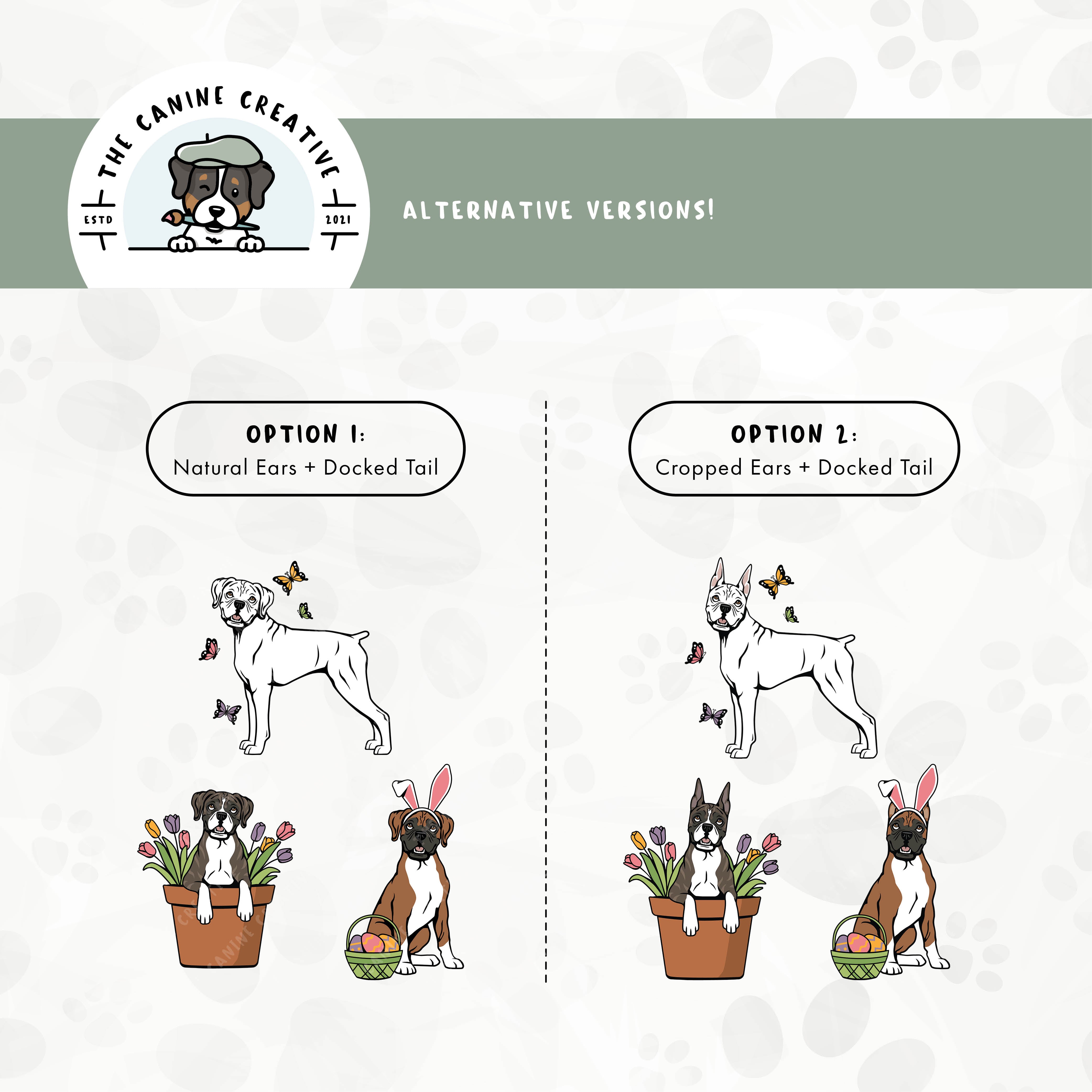 Alternative cropped ear/docked tail or floppy ear/docked tail editions are also available for this 3-pack Boxer dog springtime illustration bundle.