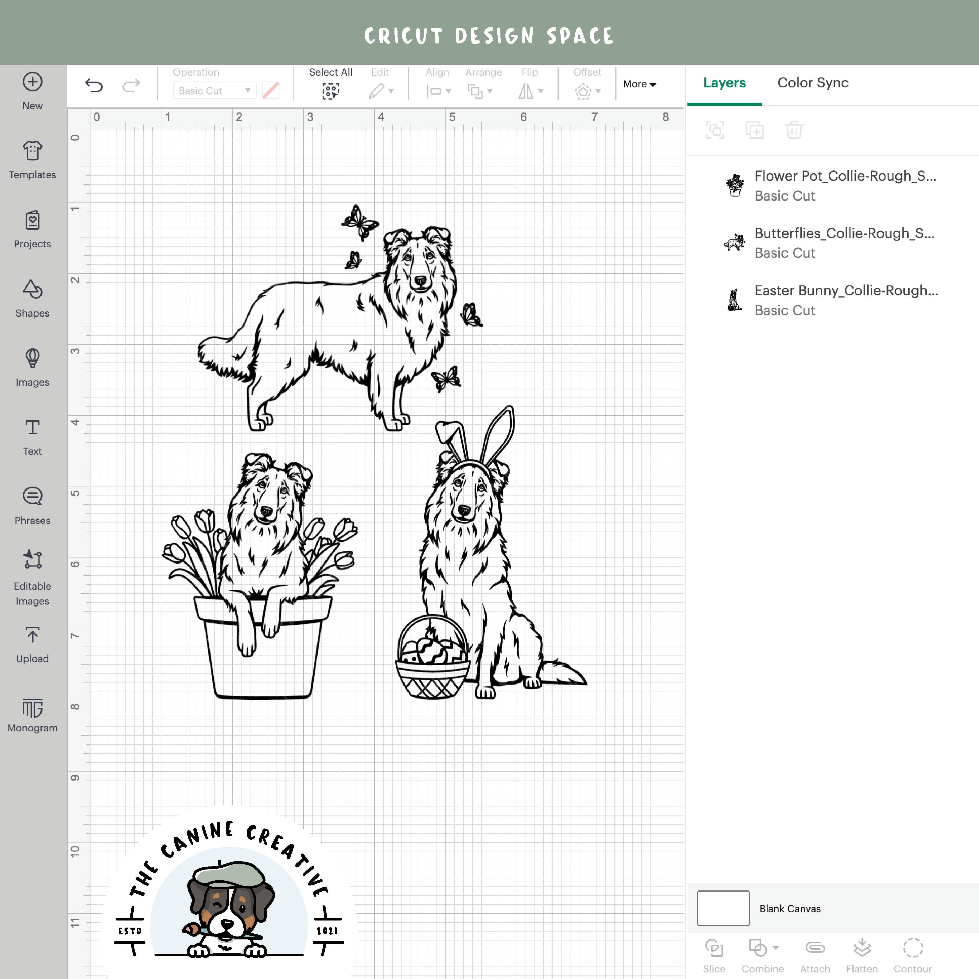 Screenshot showing outline versions inside Cricut Design Space.