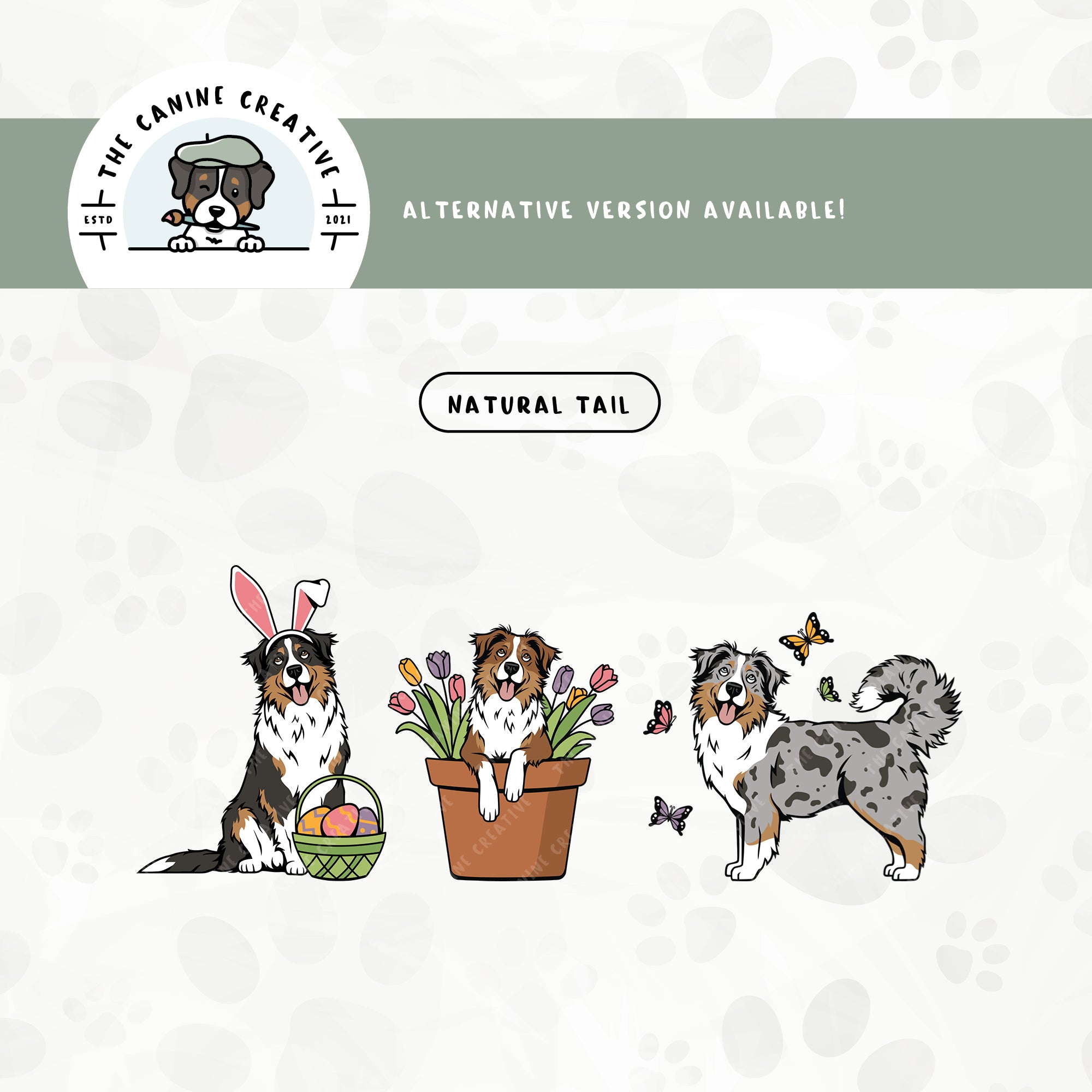 A natural tail version is also available for this 3-pack Australian Shepherd springtime illustration bundle.