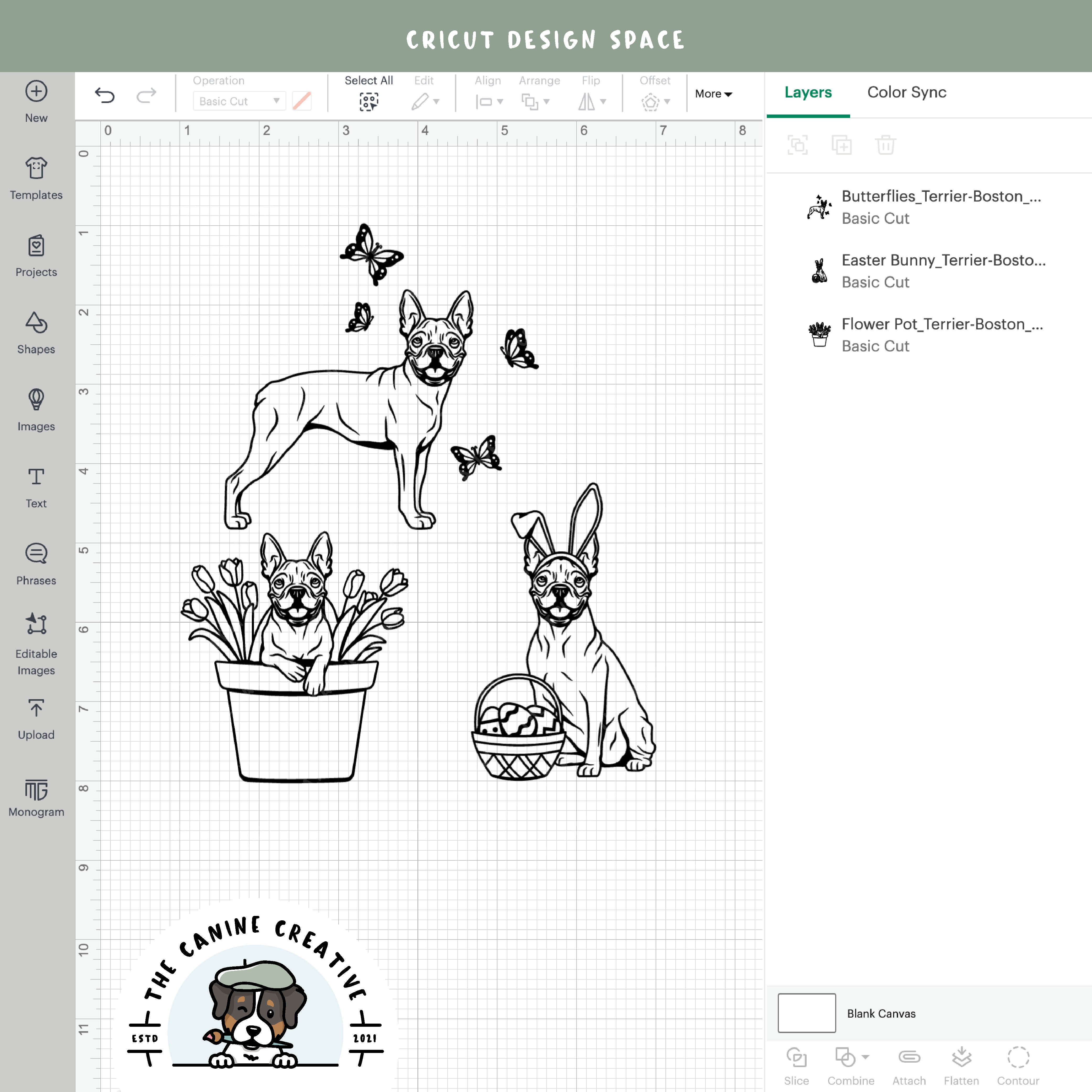 Screenshot showing outline versions inside Cricut Design Space