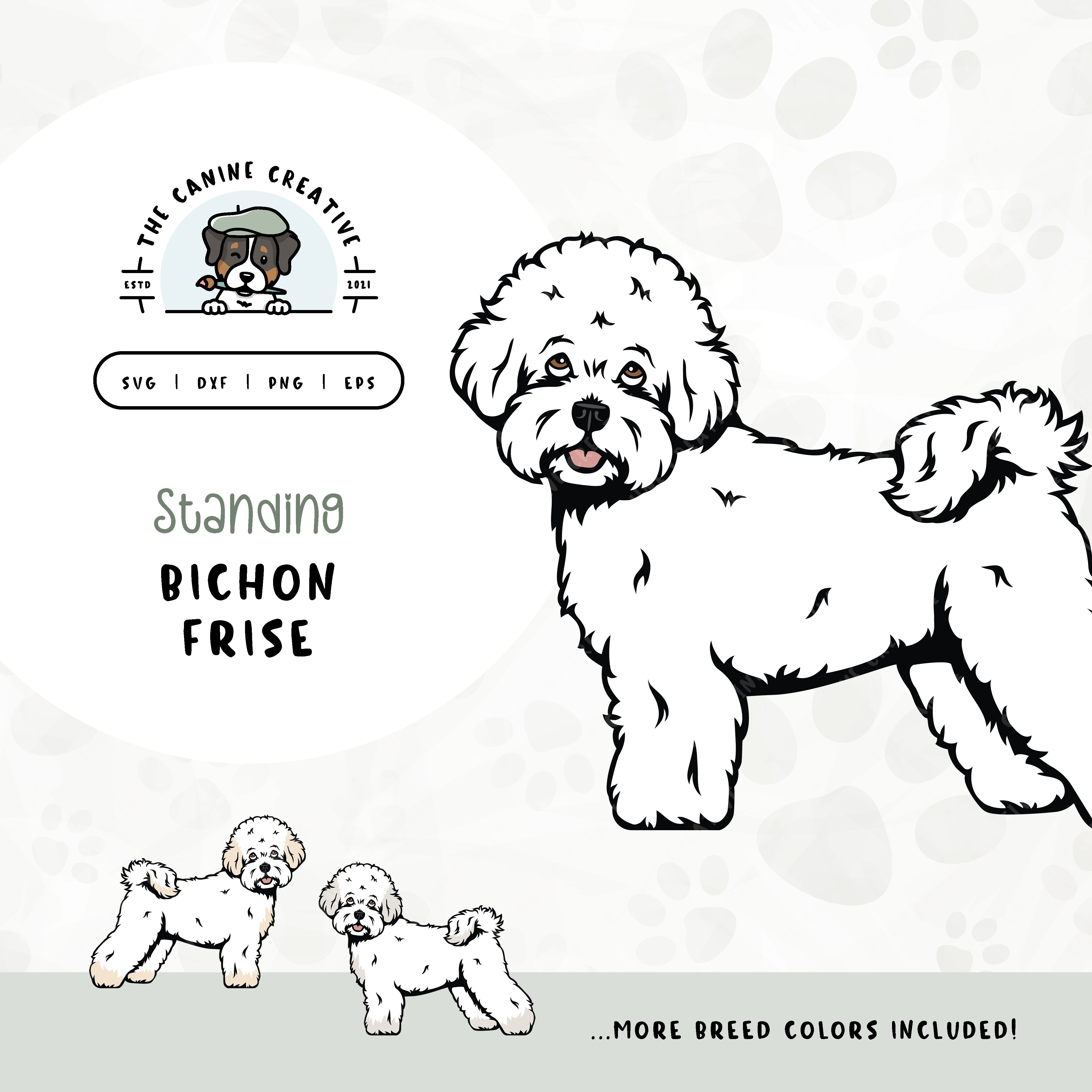 This standing dog design features a Bichon Frise. File formats include: SVG, DXF, PNG, and EPS.