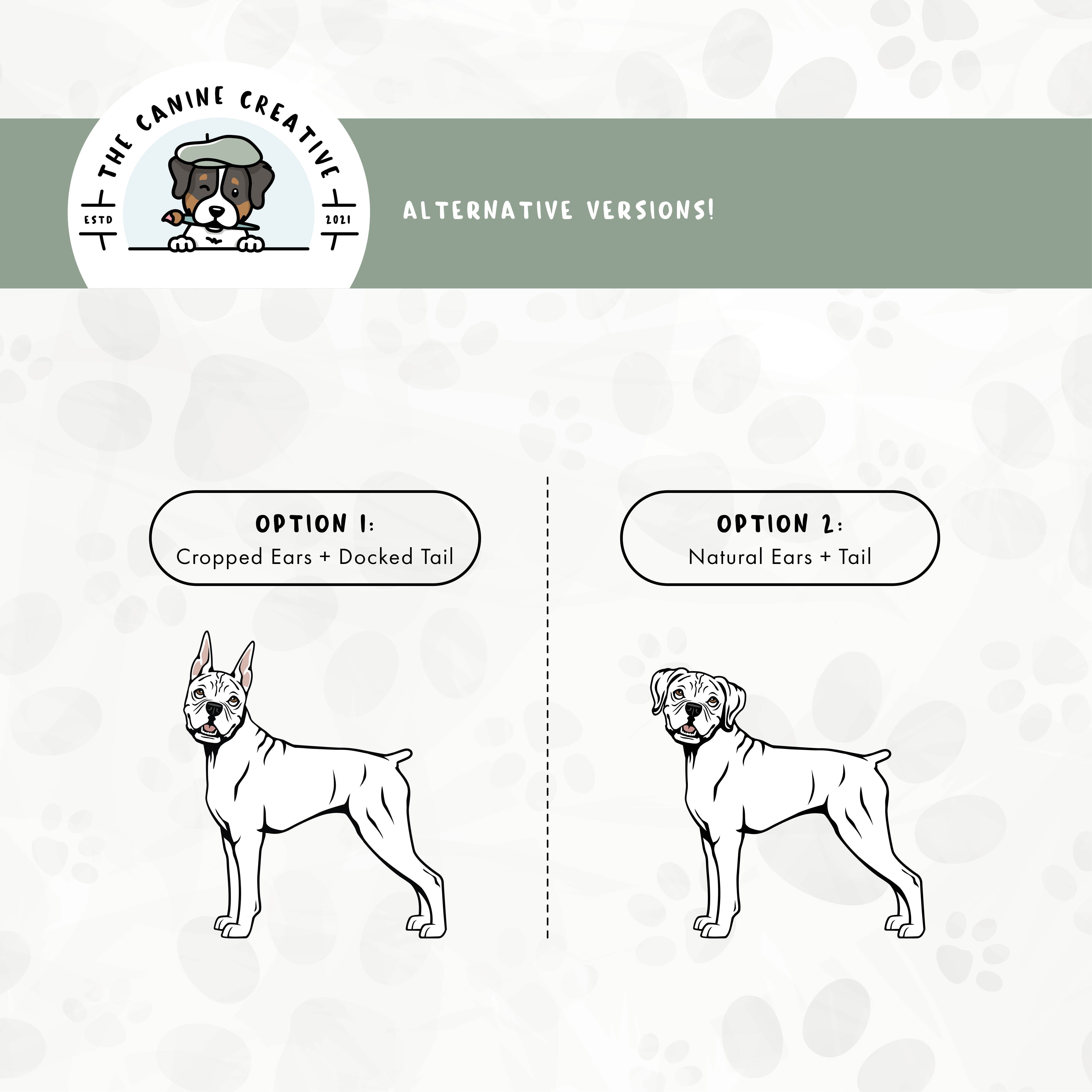 Alternative cropped ear/docked tail or floppy ear/docked tail editions are also available for this standing Boxer dog design.