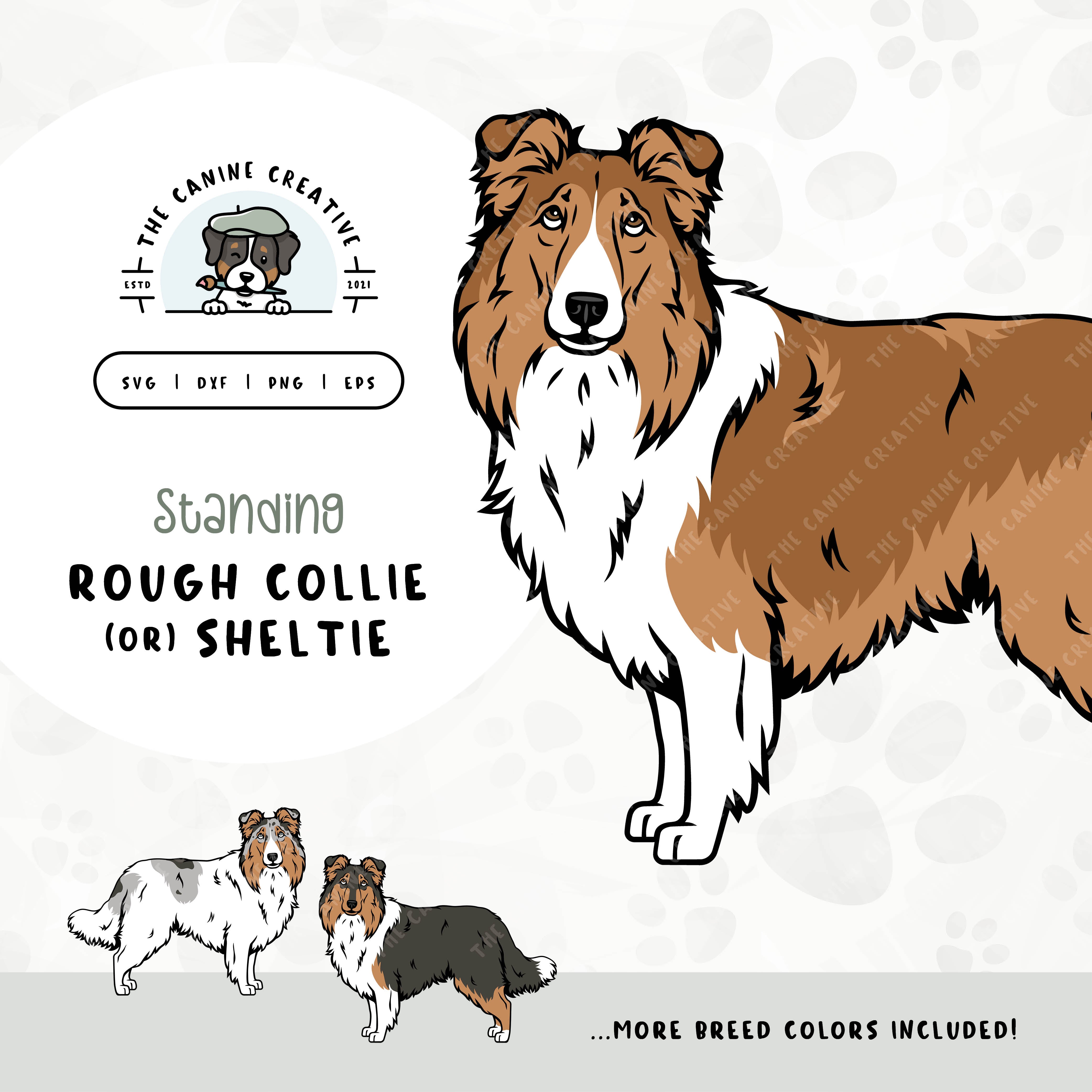 This hand-drawn, illustrated design bundle features various colors of standing Rough Collies or Shetland Sheepdogs. File formats include: SVG, DXF, PNG, and EPS.