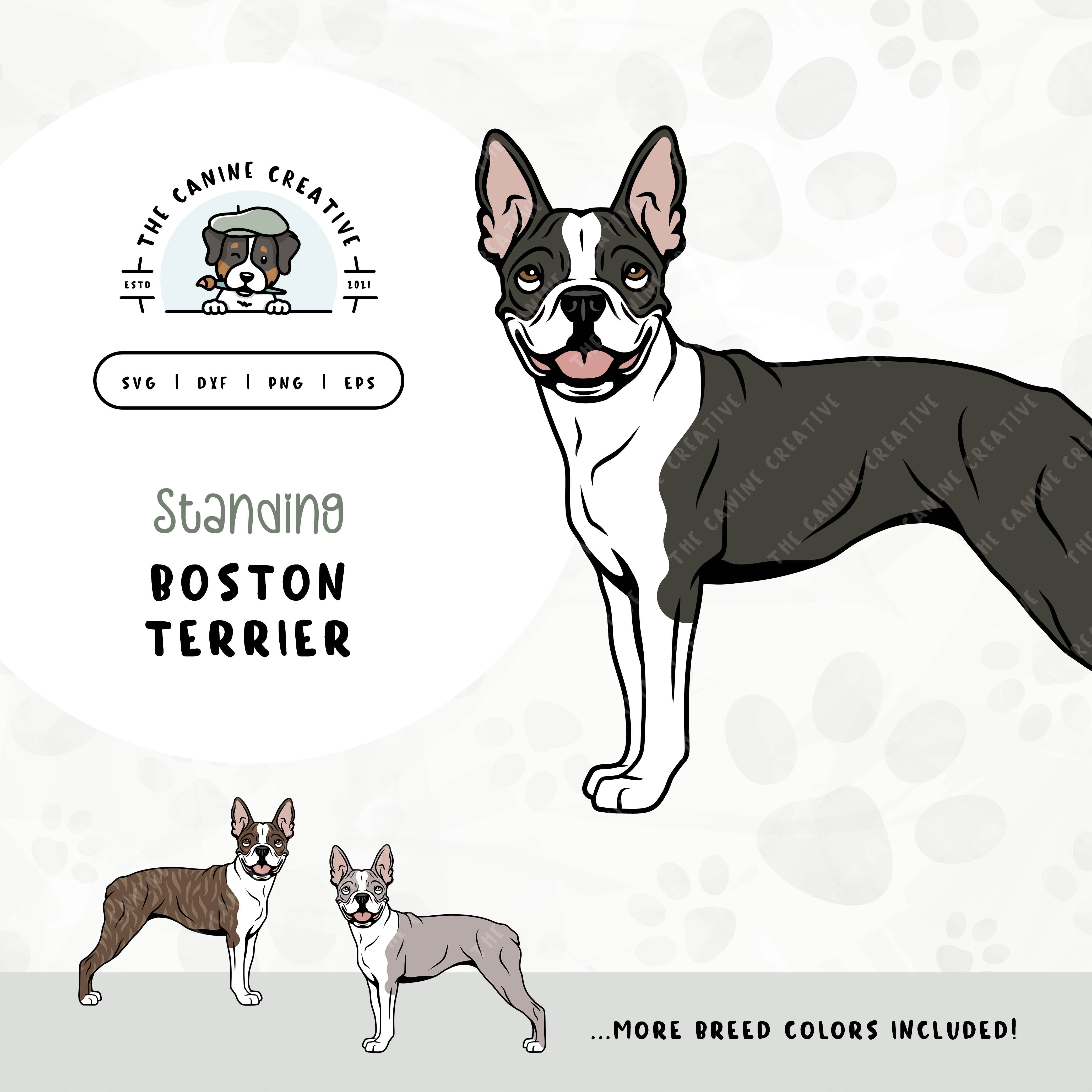 This standing dog design features a Boston Terrier. File formats include: SVG, DXF, PNG, and EPS.