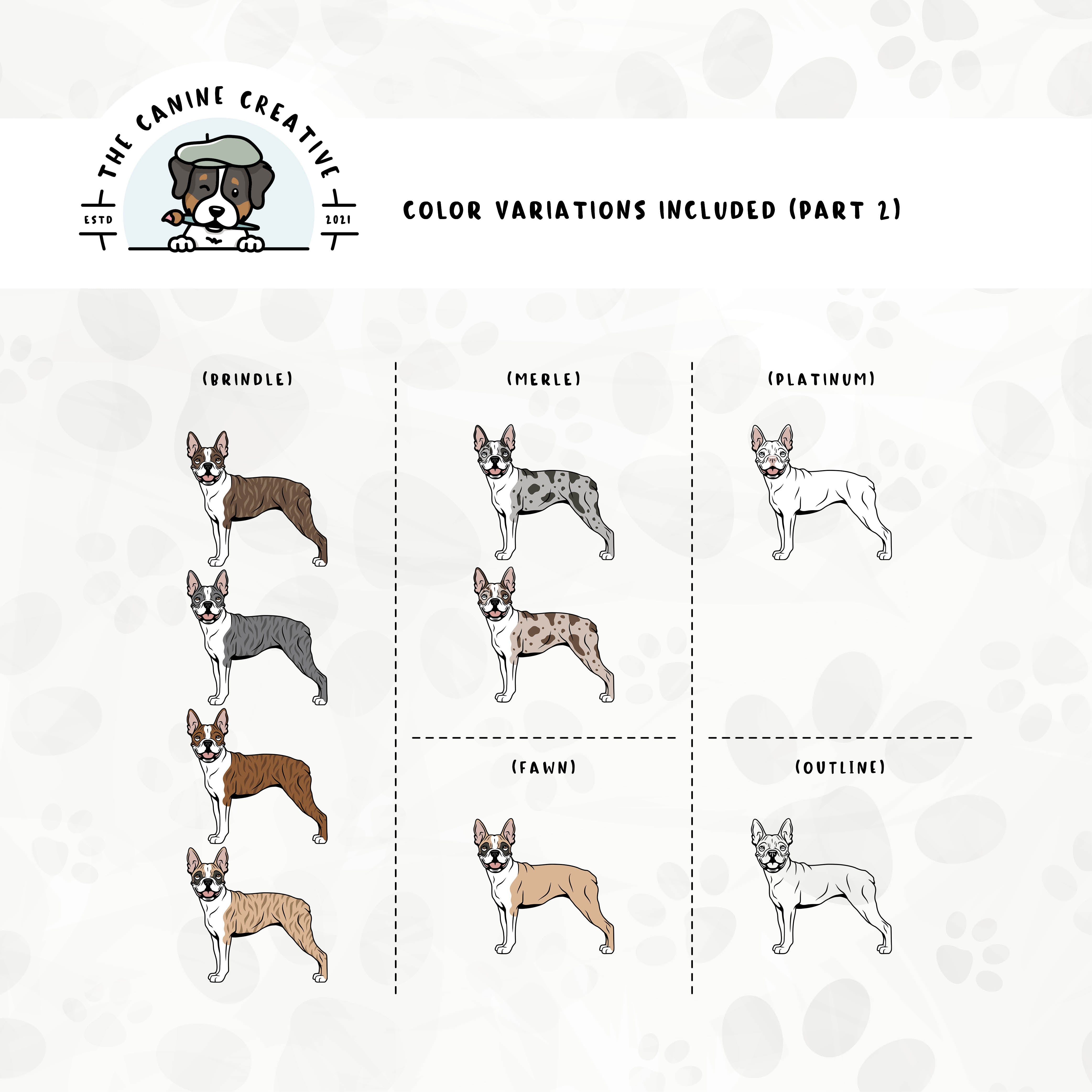 Part 2 of dog color variations for this Boston design set includes brindle, merle, fawn, and platinum colors, as well as an outline version.
